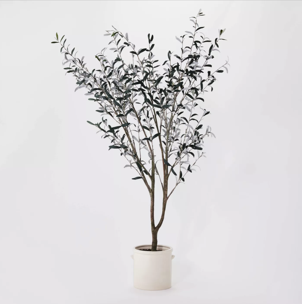 faux olive tree.png