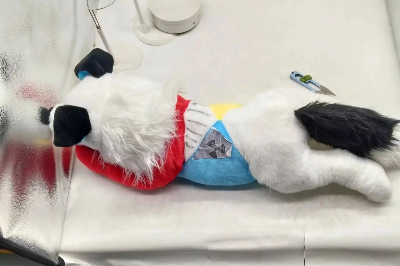 chemicollie.jpg
