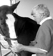 Pegasus Veterinary Center