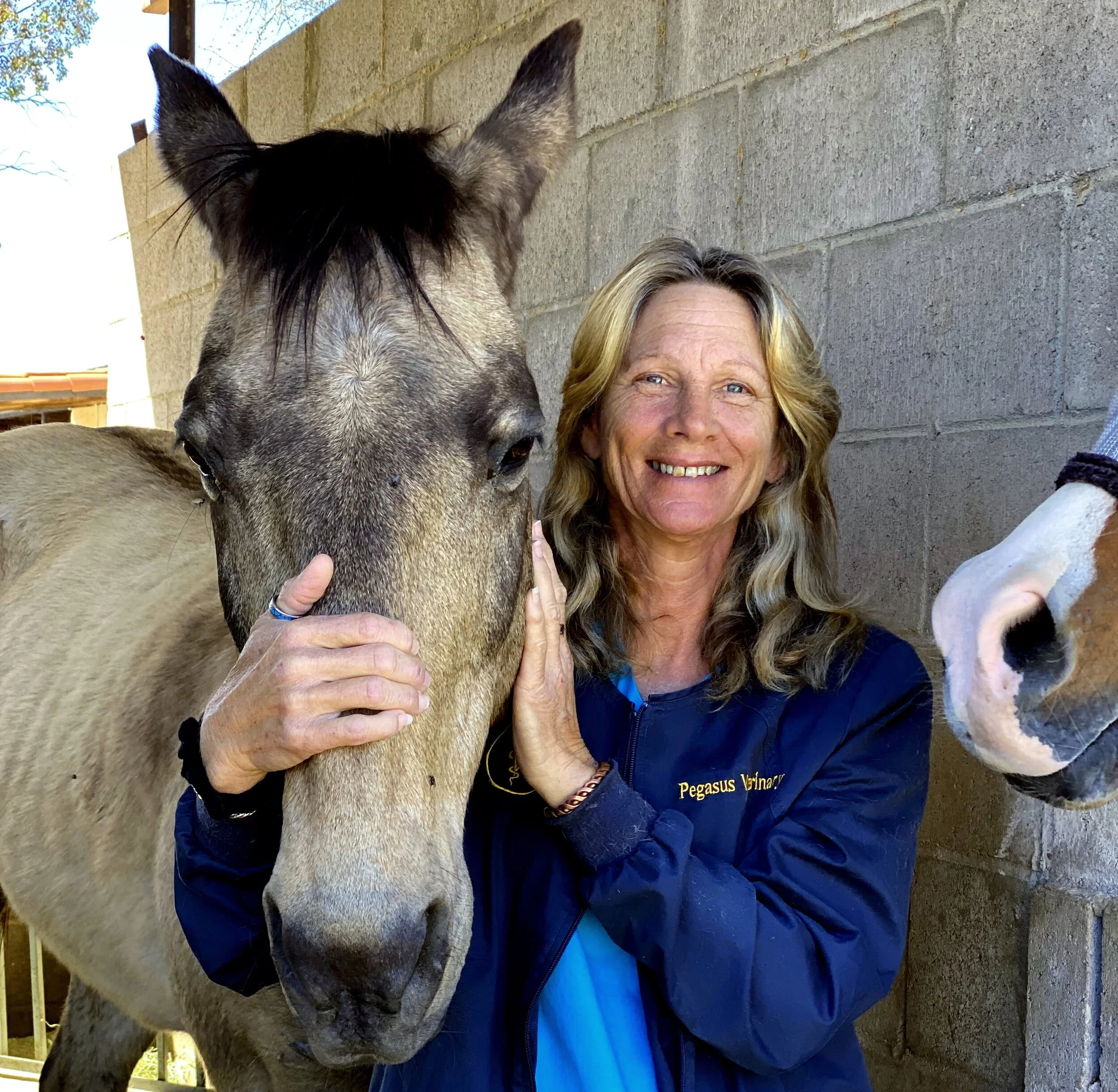 Pegasus Veterinary Center