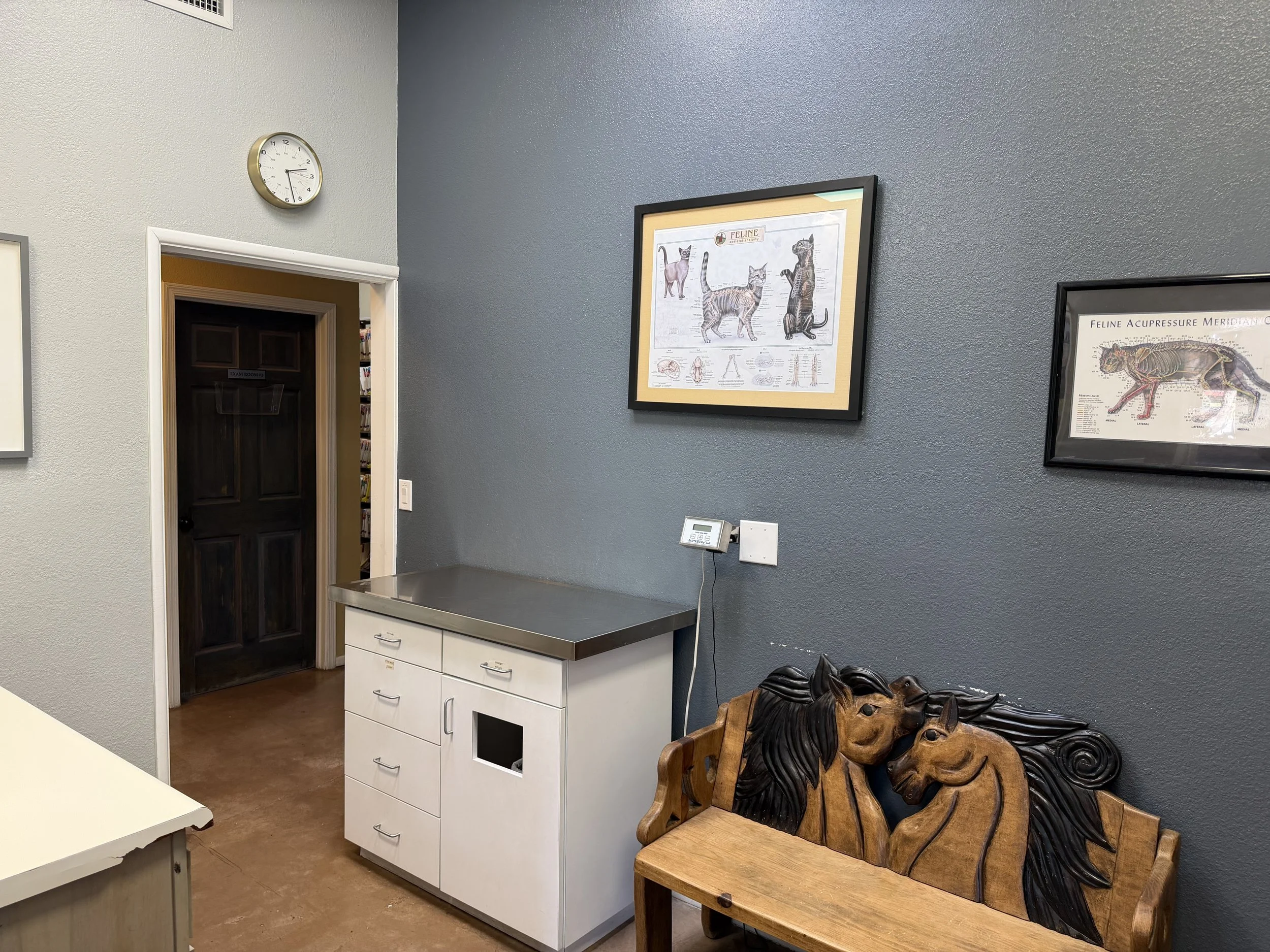 room1.jpg