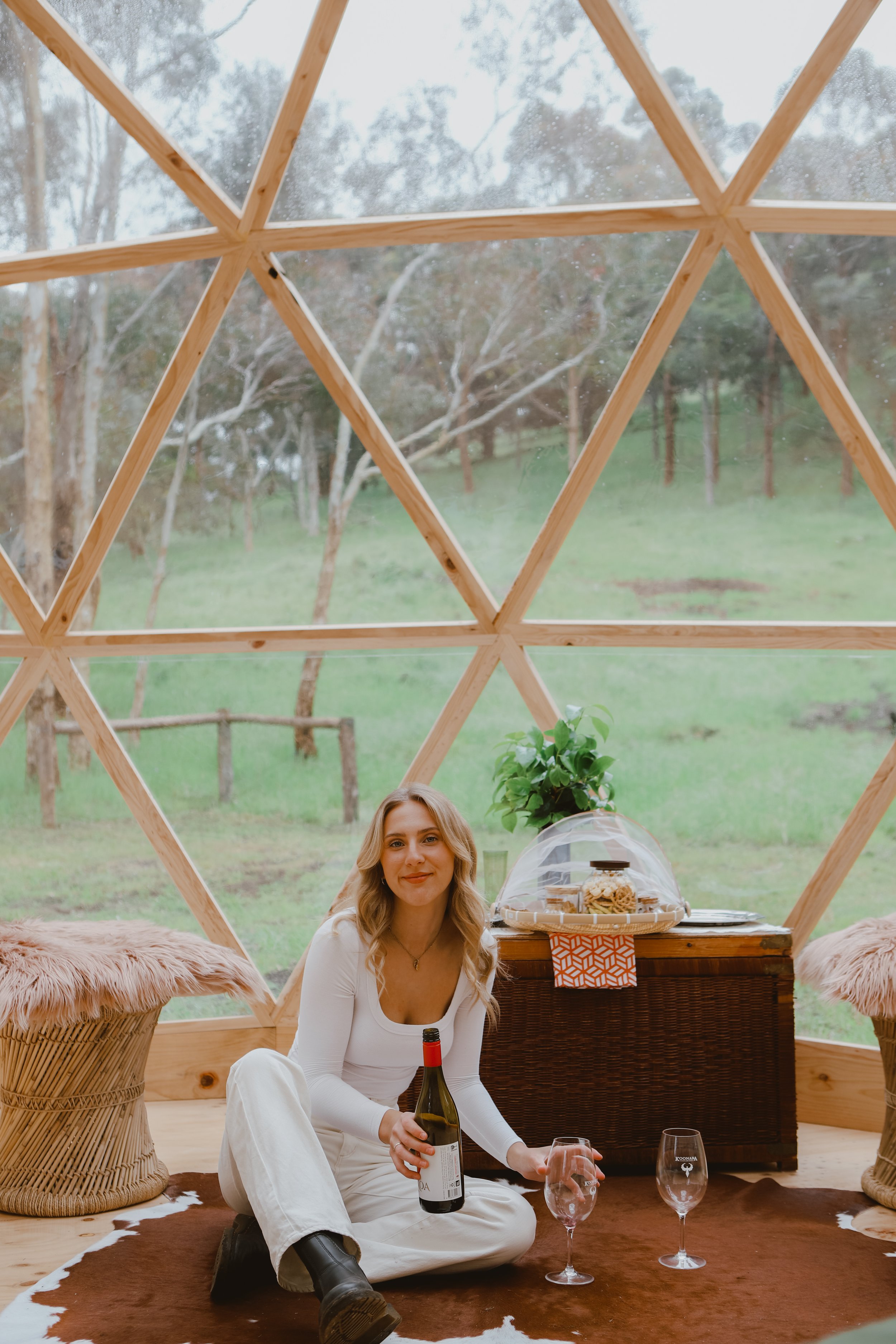 wine in the dome.jpeg