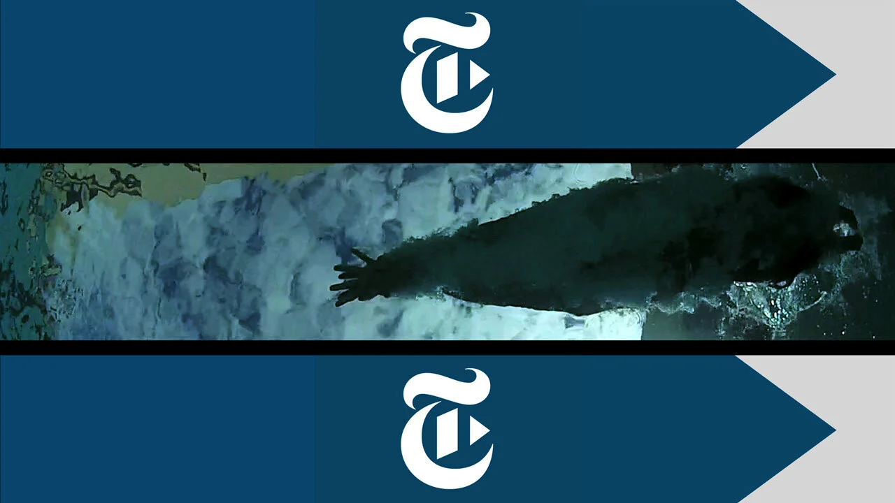 nyt_hush_01_1280.jpg