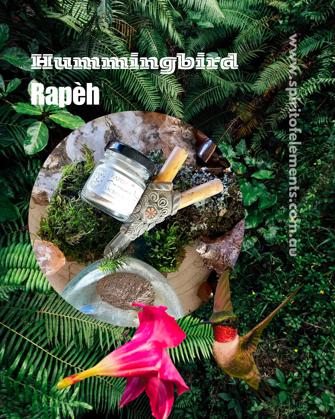 HUMMINGBIRD Rapèh