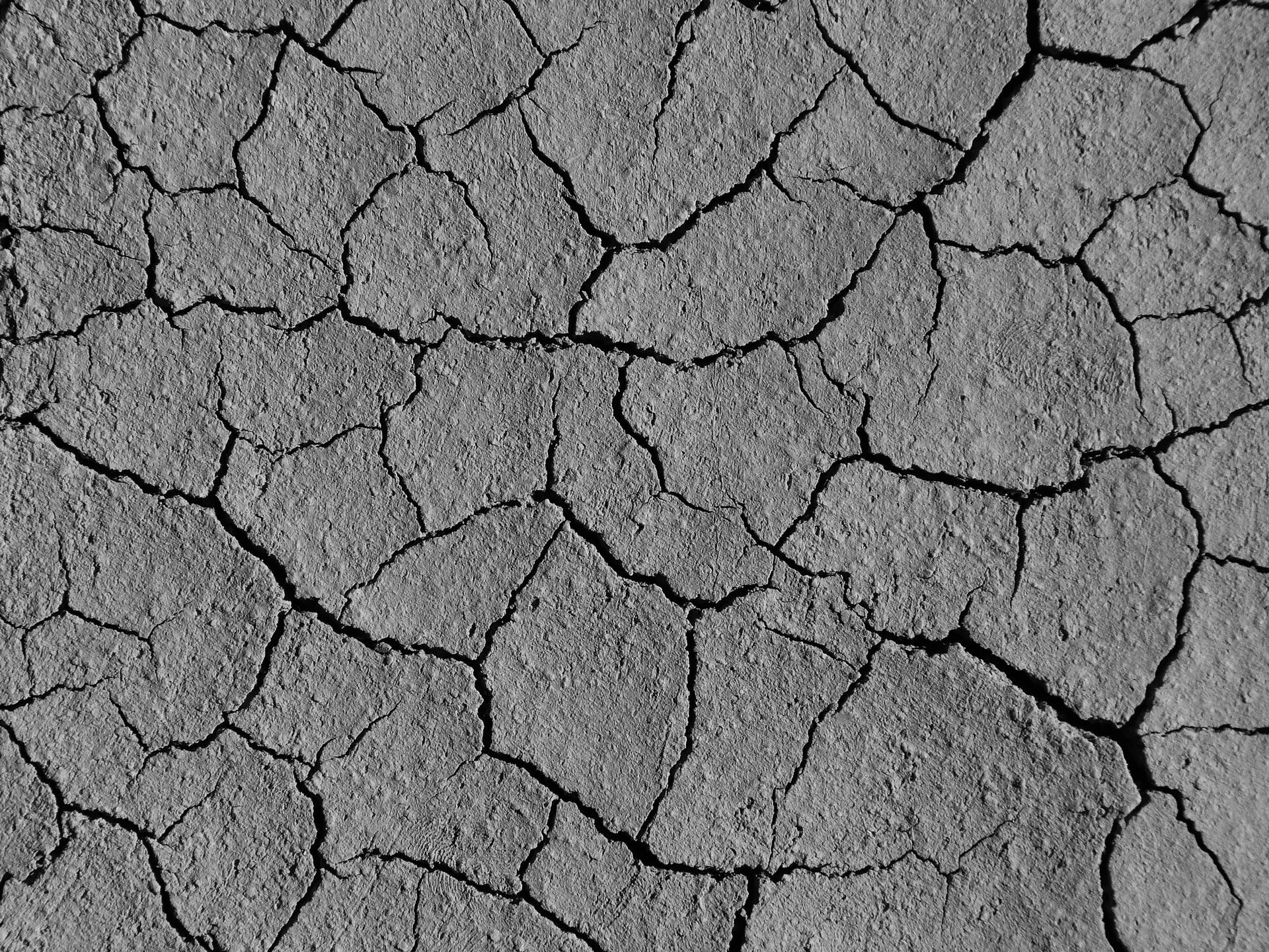a-fleurs-des-murs-image-01-sol.jpg