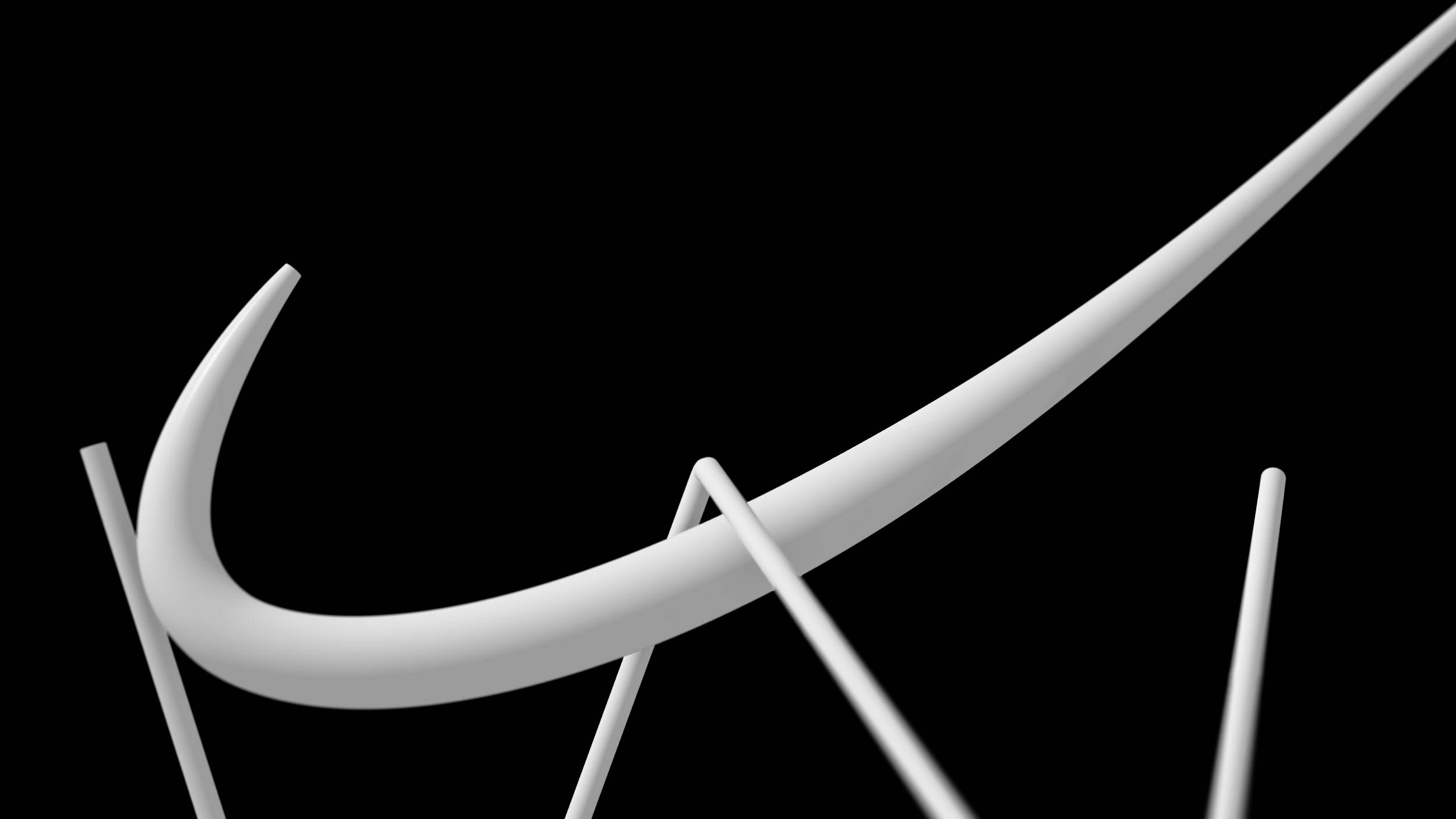 W 2 (00154).jpg