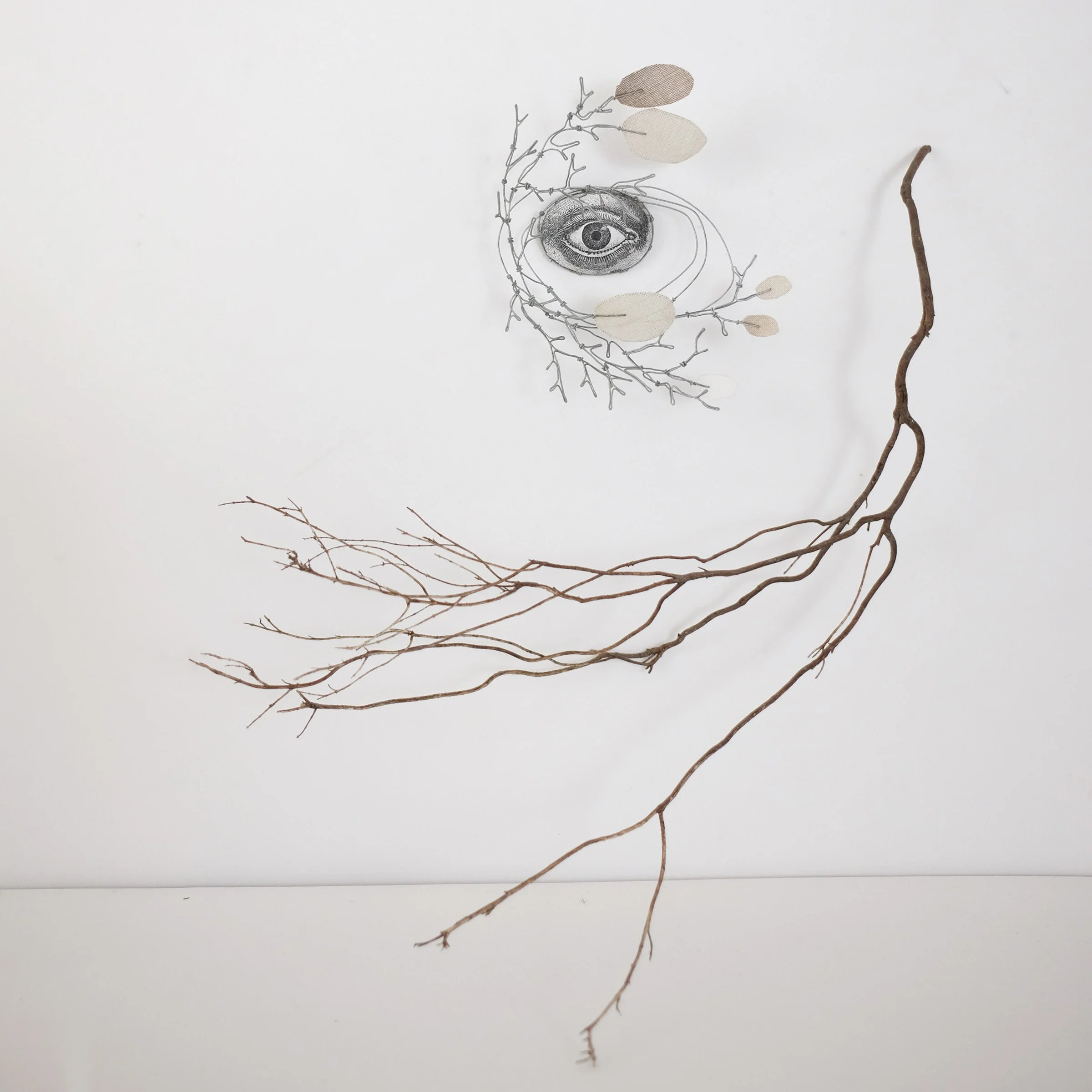 oeil70hsw.jpg