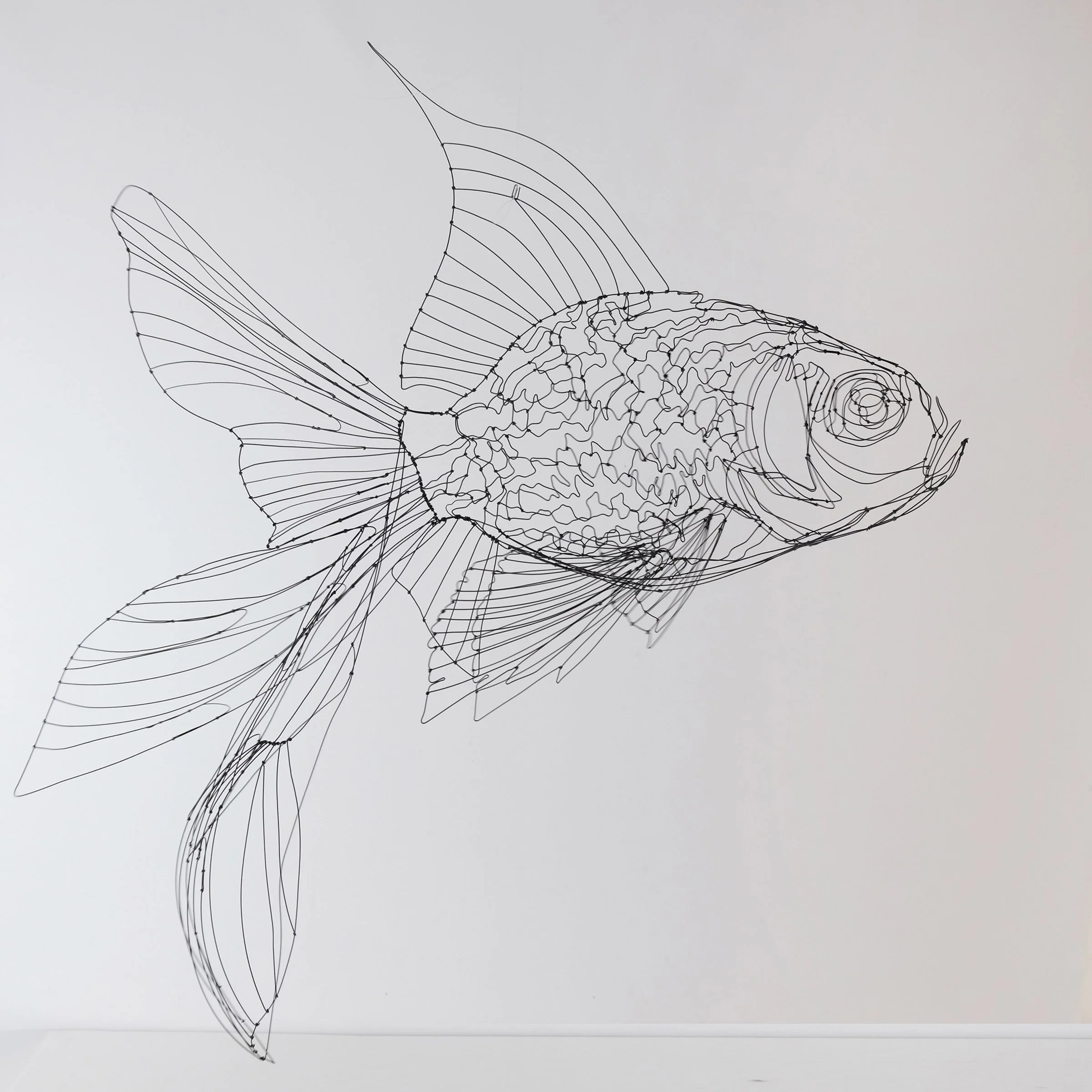 poissonjaponaisnoir3fsw.jpg