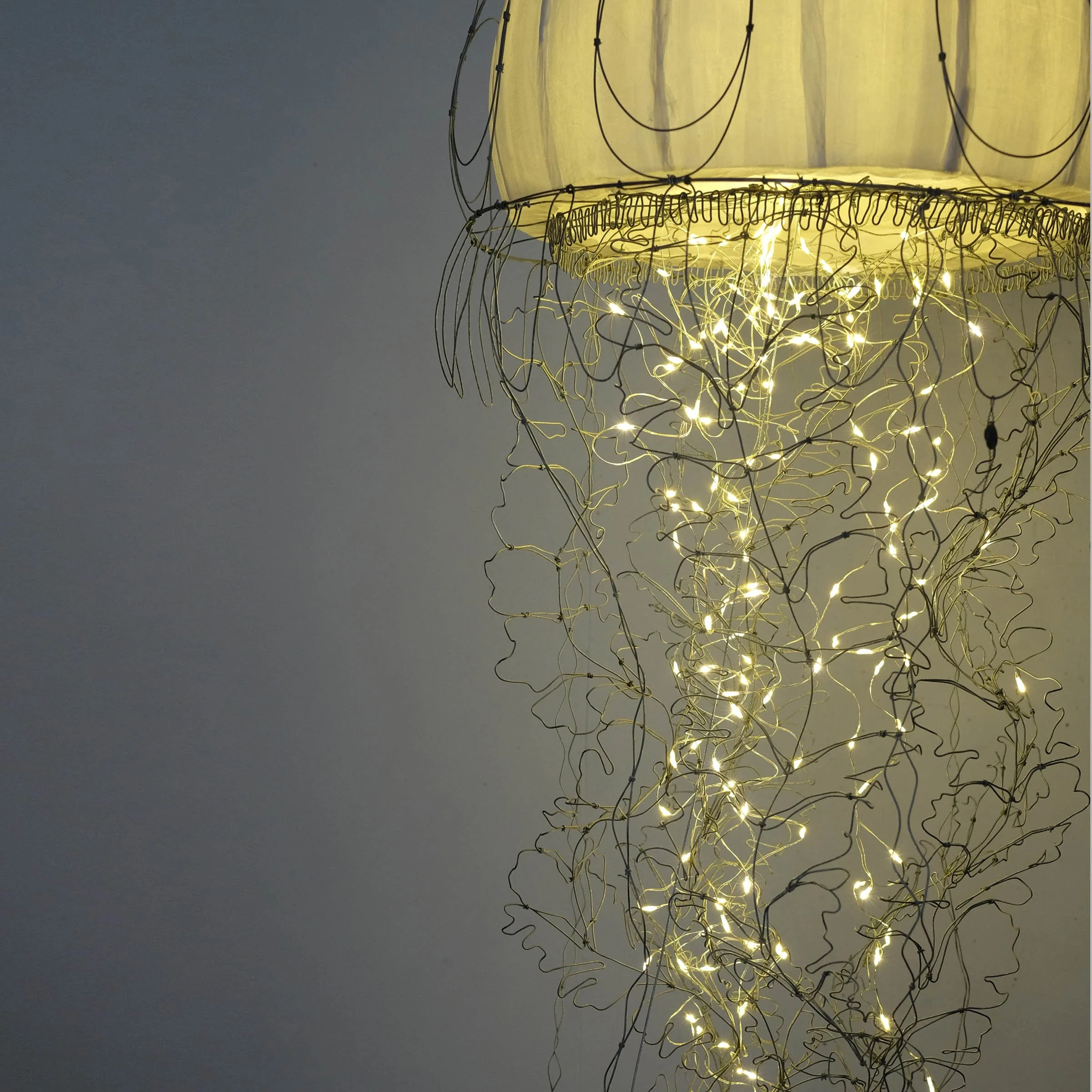 meduse18isw.jpg
