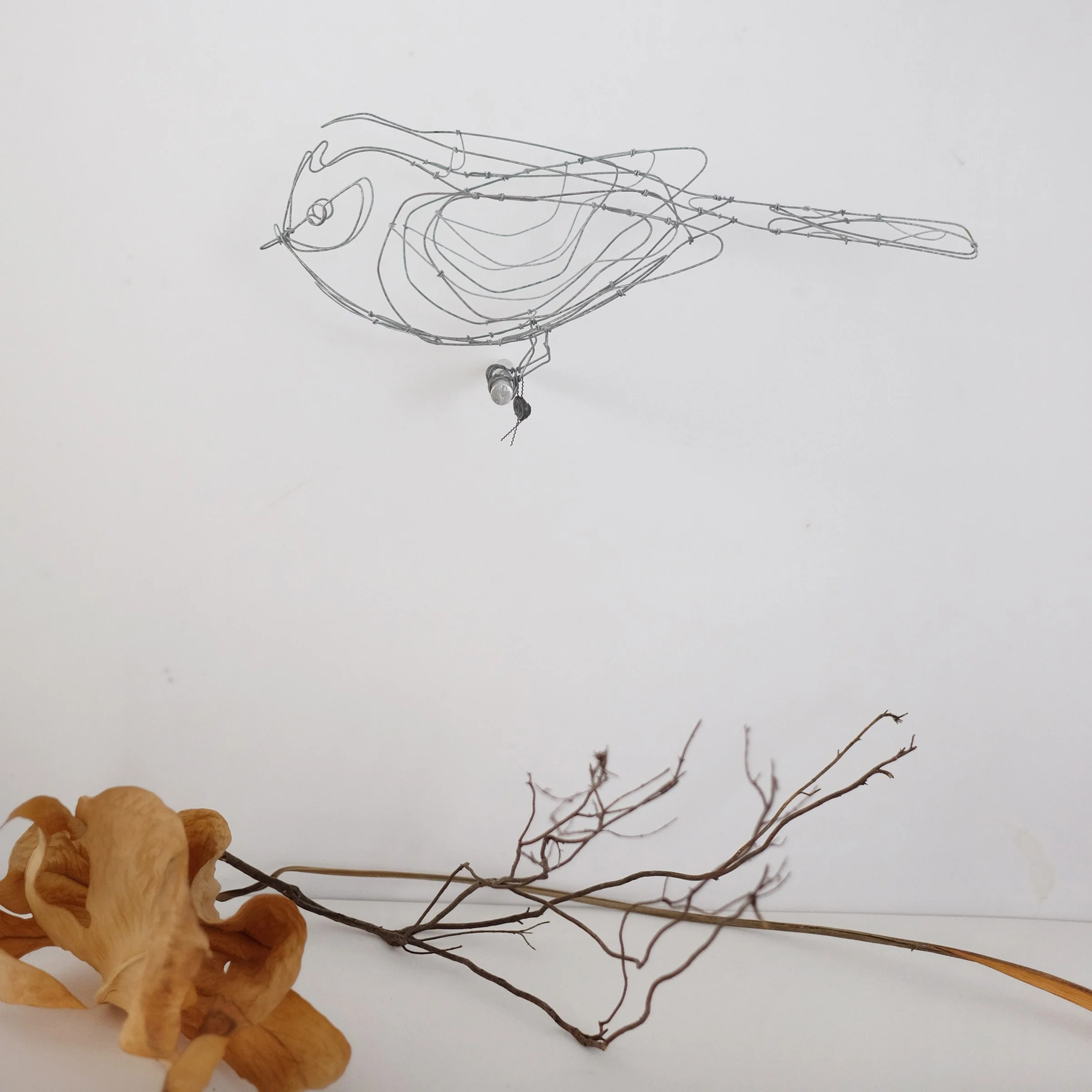 oiseau V3dsw.jpg