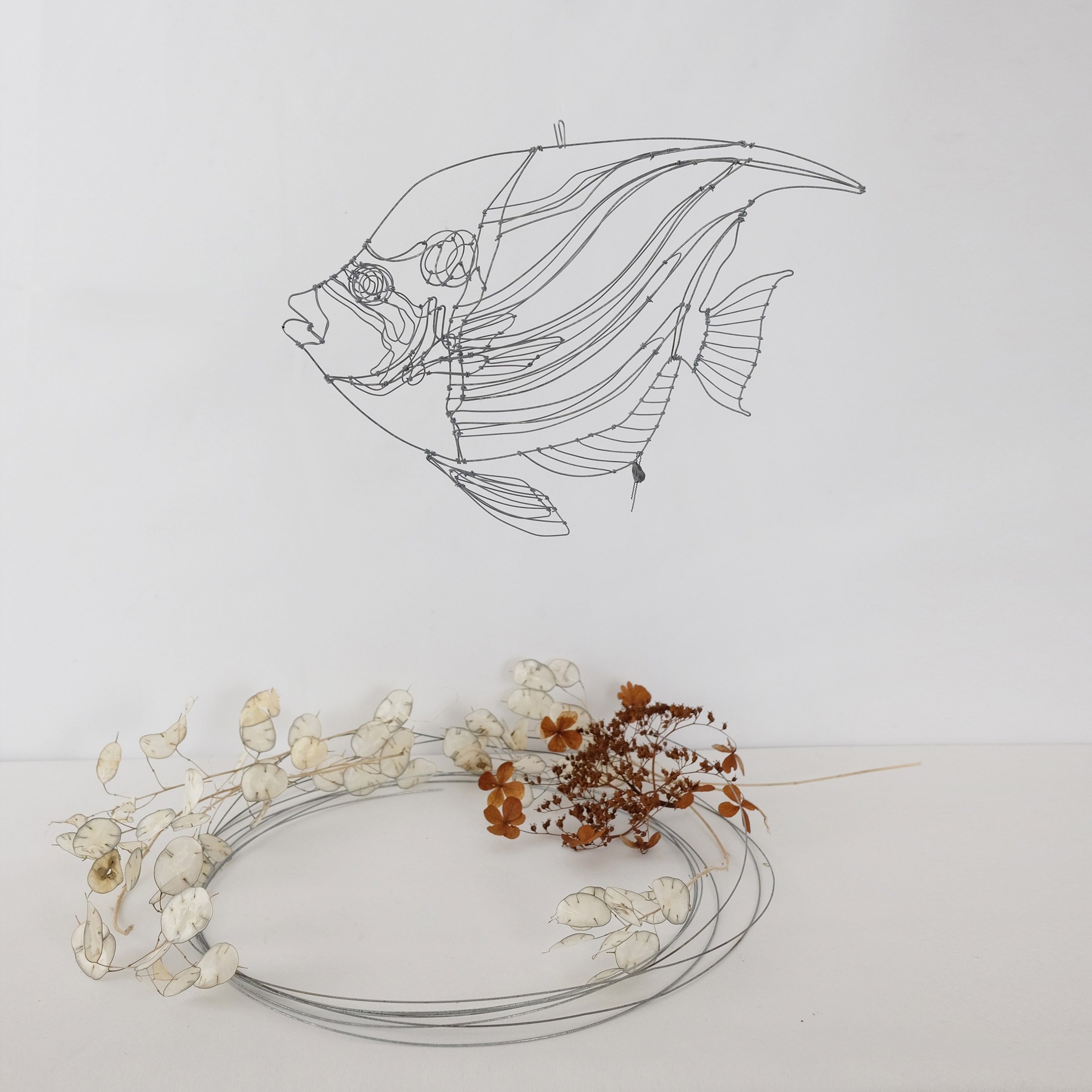 poissonexotique81asw.jpg