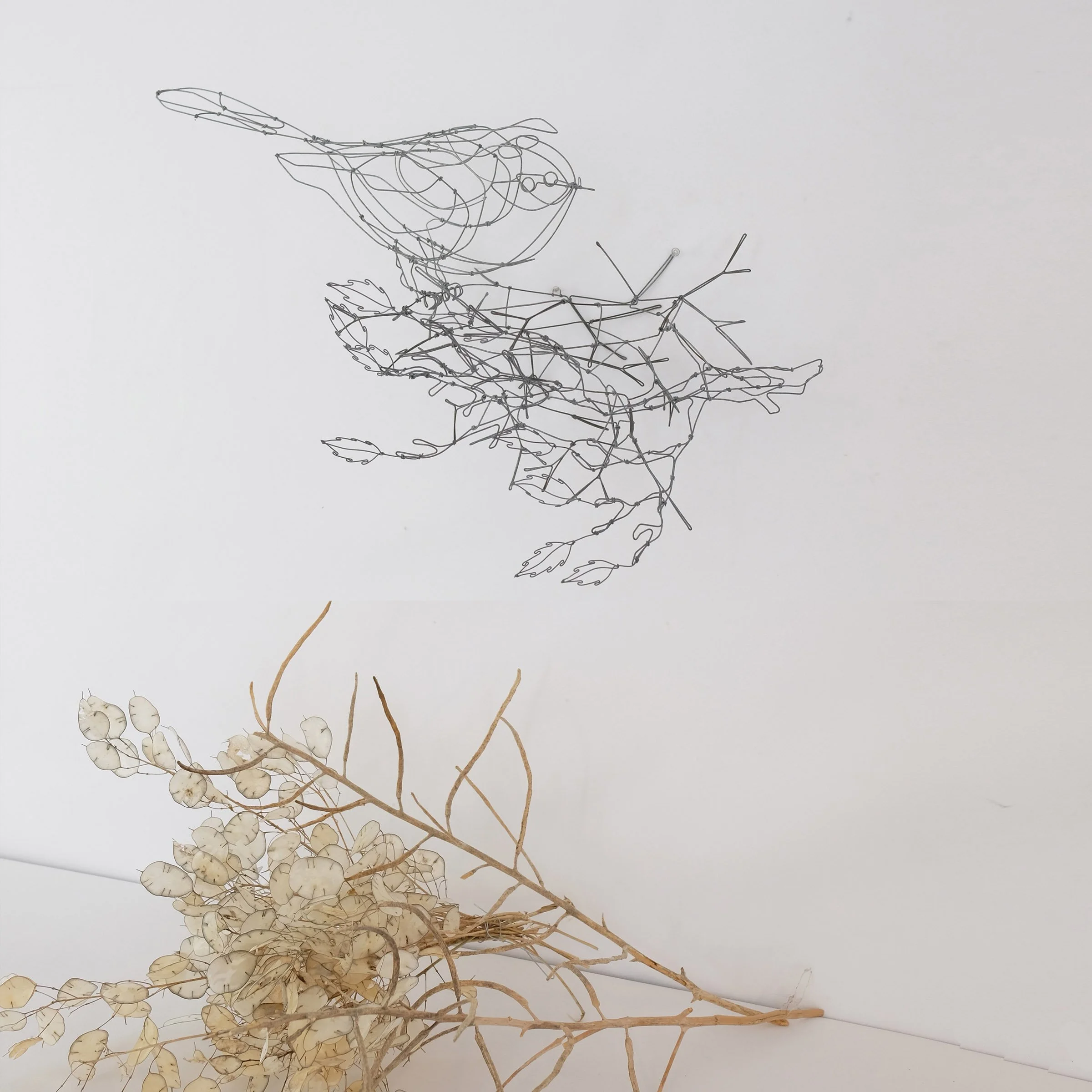 oiseaubranche13csw.jpg