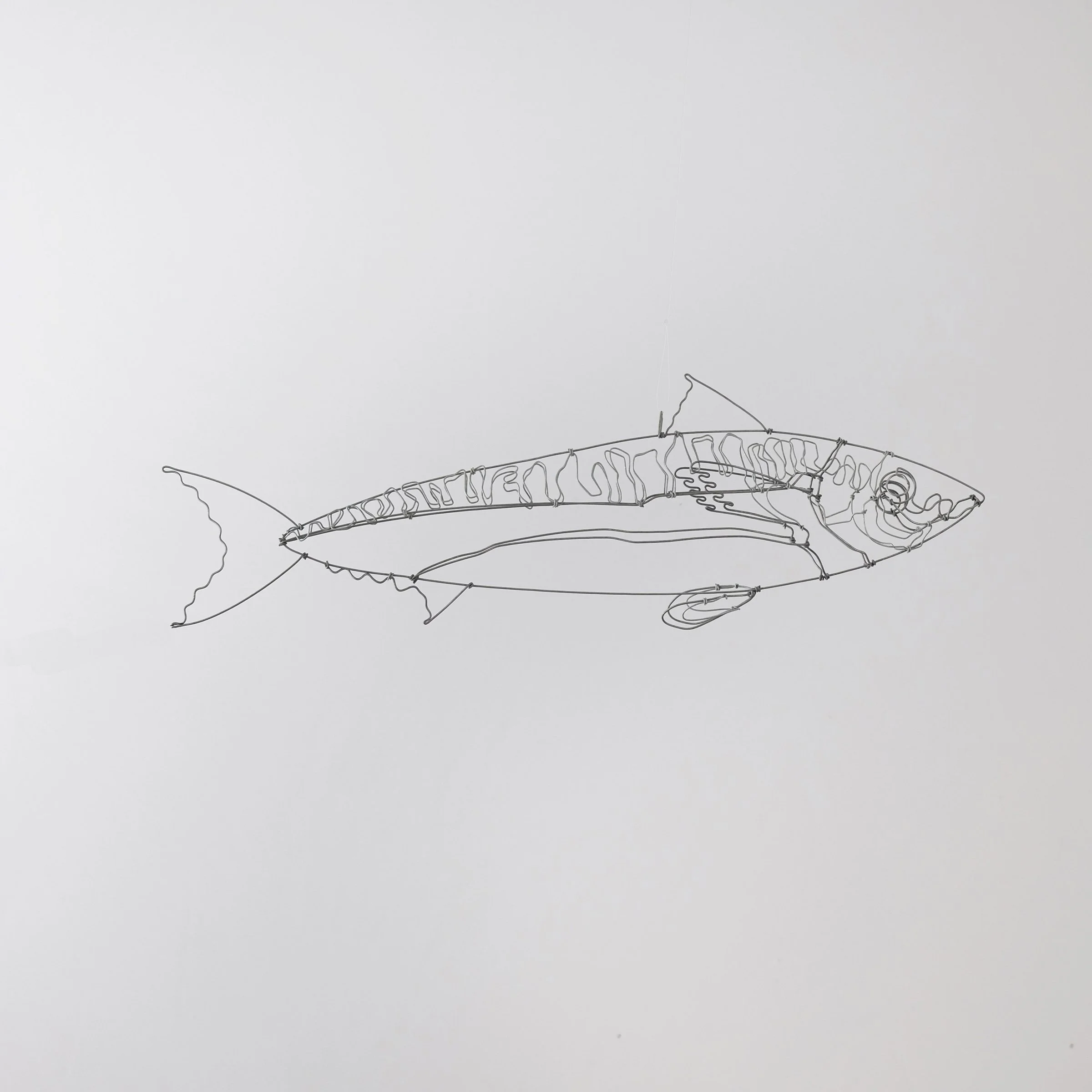 maquereau2fsw.jpg