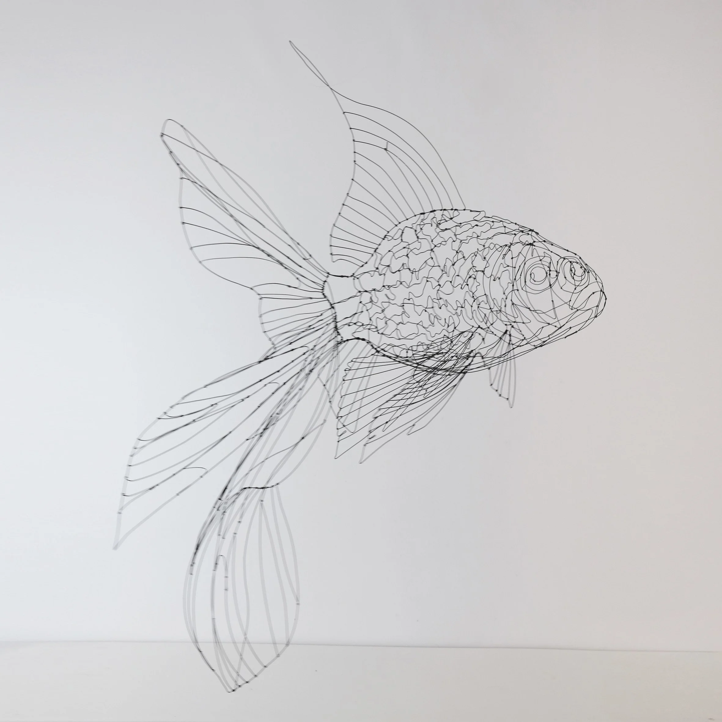 poissonjaponaisnoir3hsw.jpg
