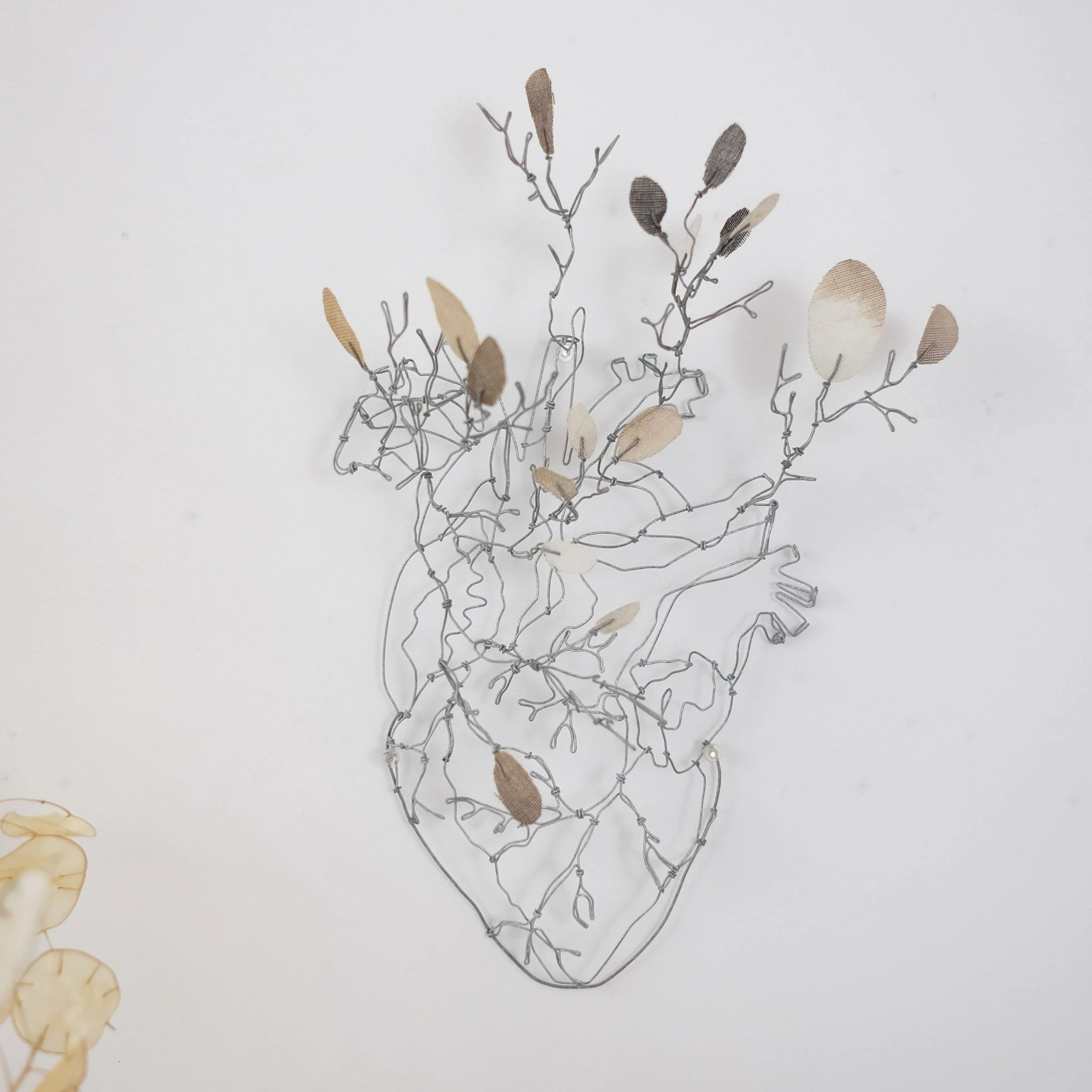 coeur11dsw.jpg