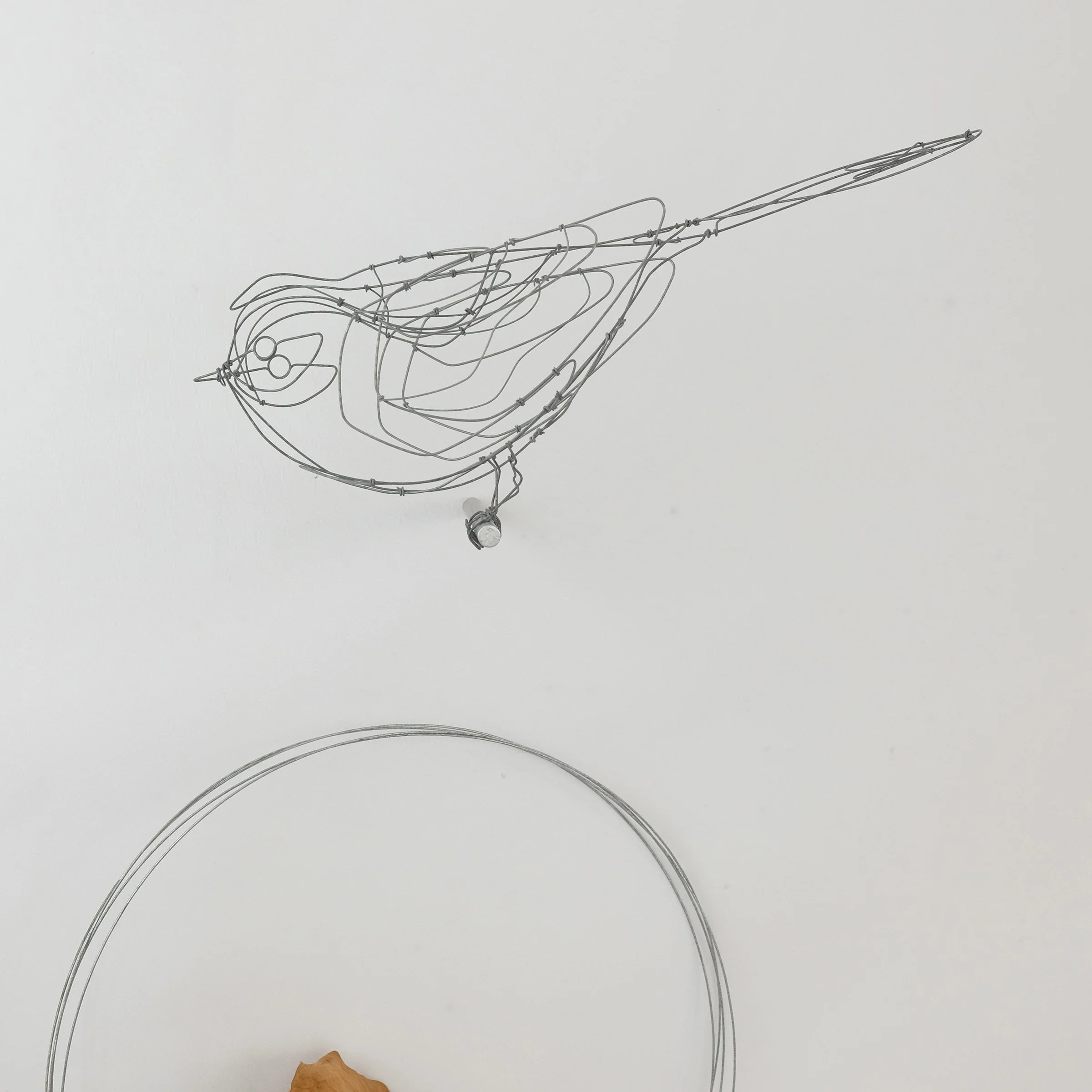oiseau8Uesw.jpg