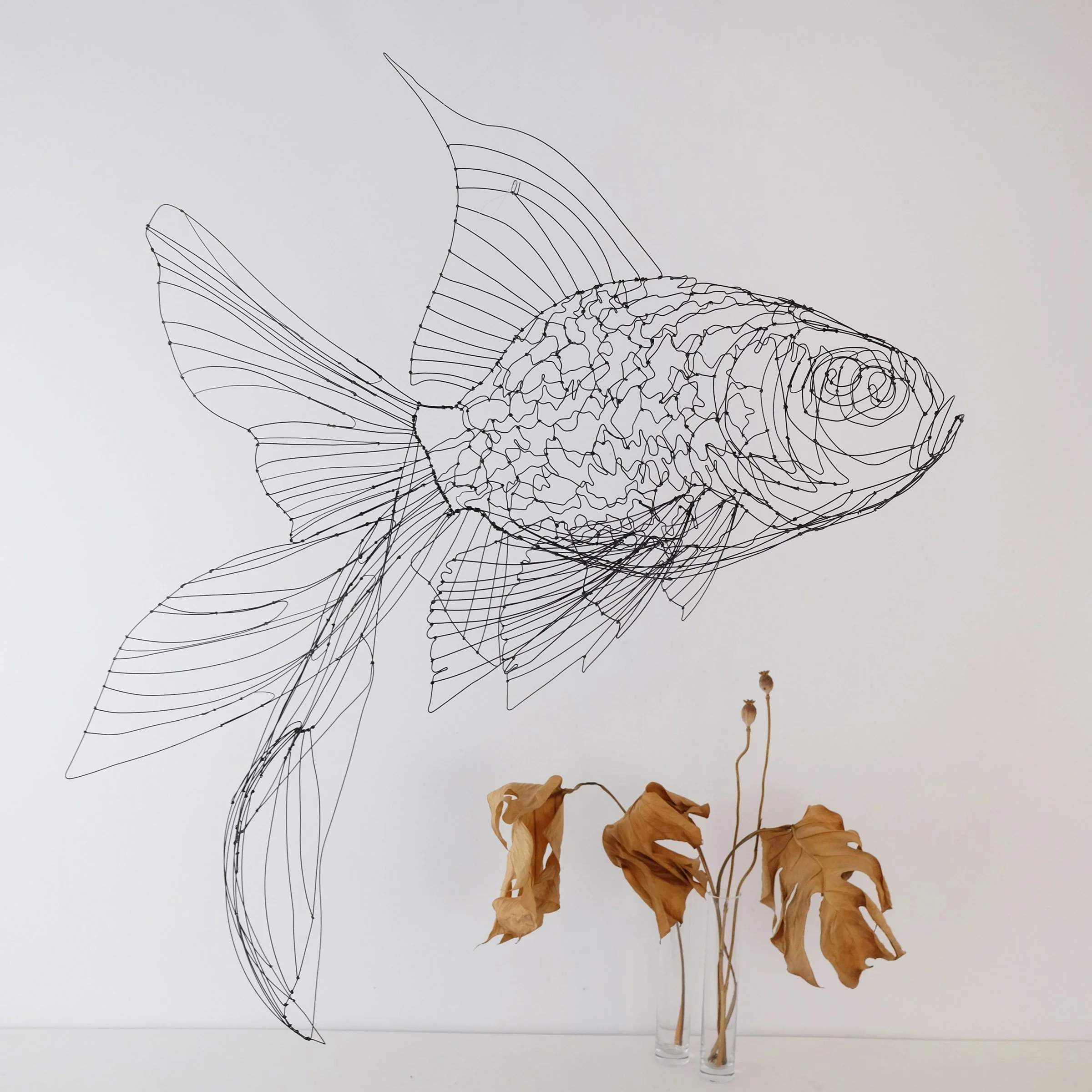poissonjaponaisnoir3jsw.jpg