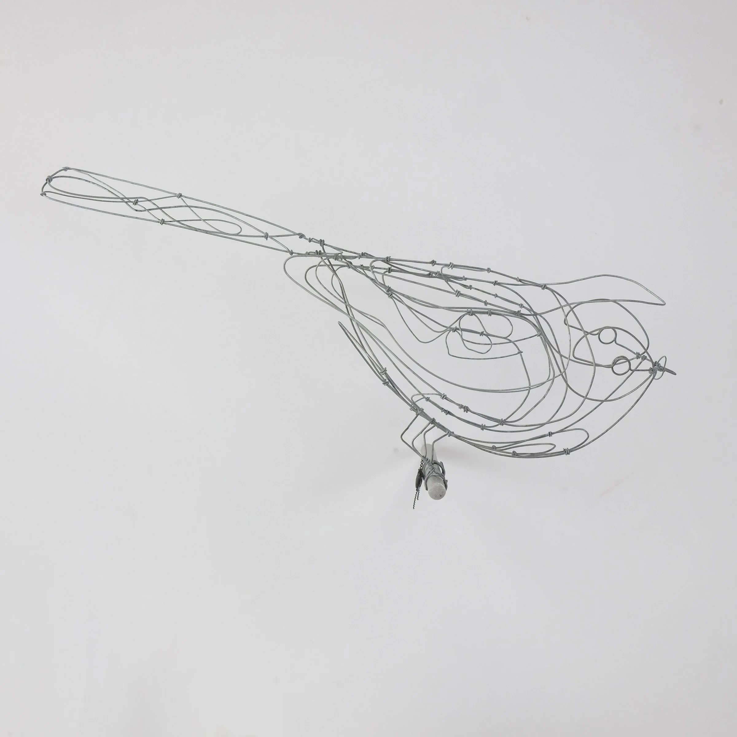 oiseau U3csw.jpg