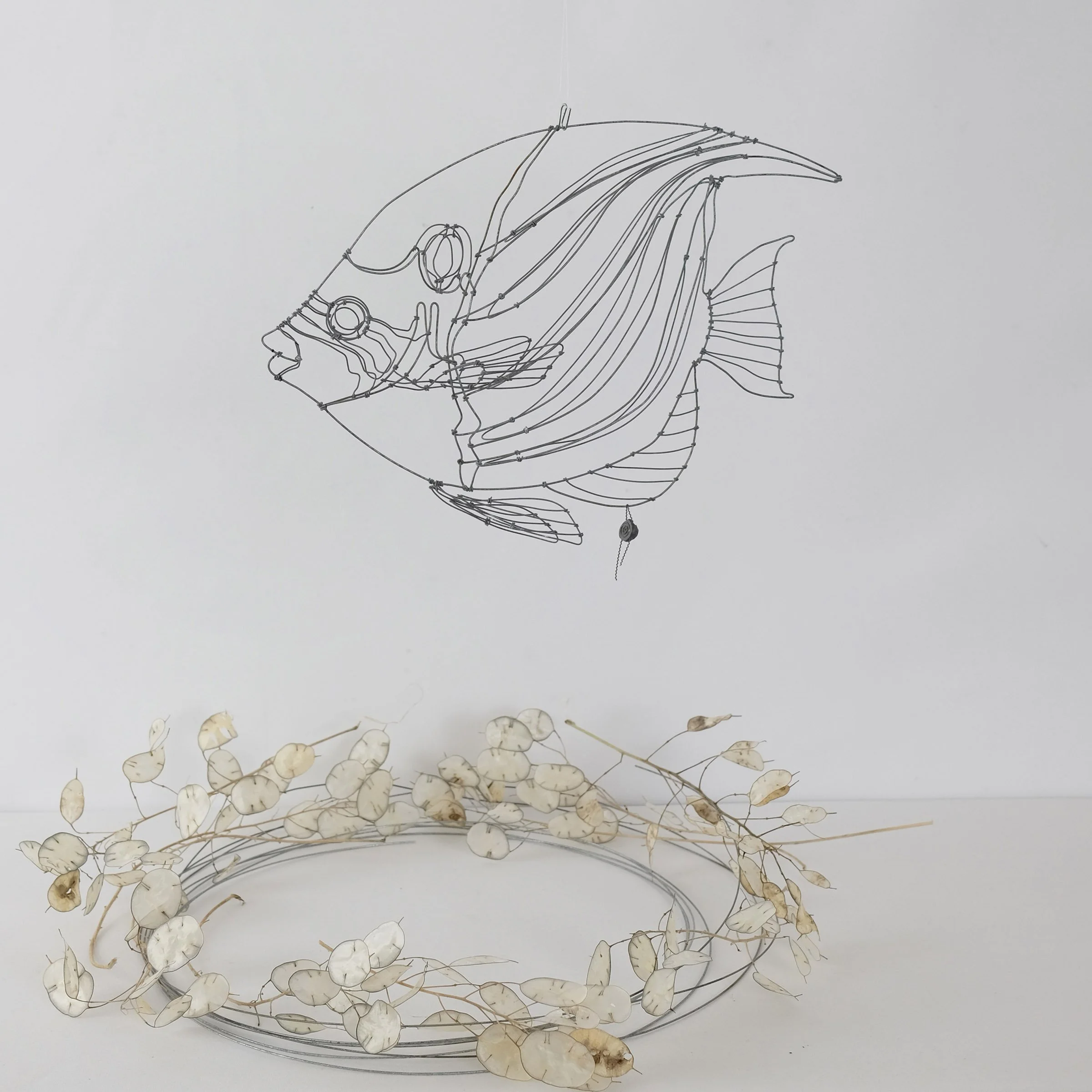 poissonexotique79bsw.jpg