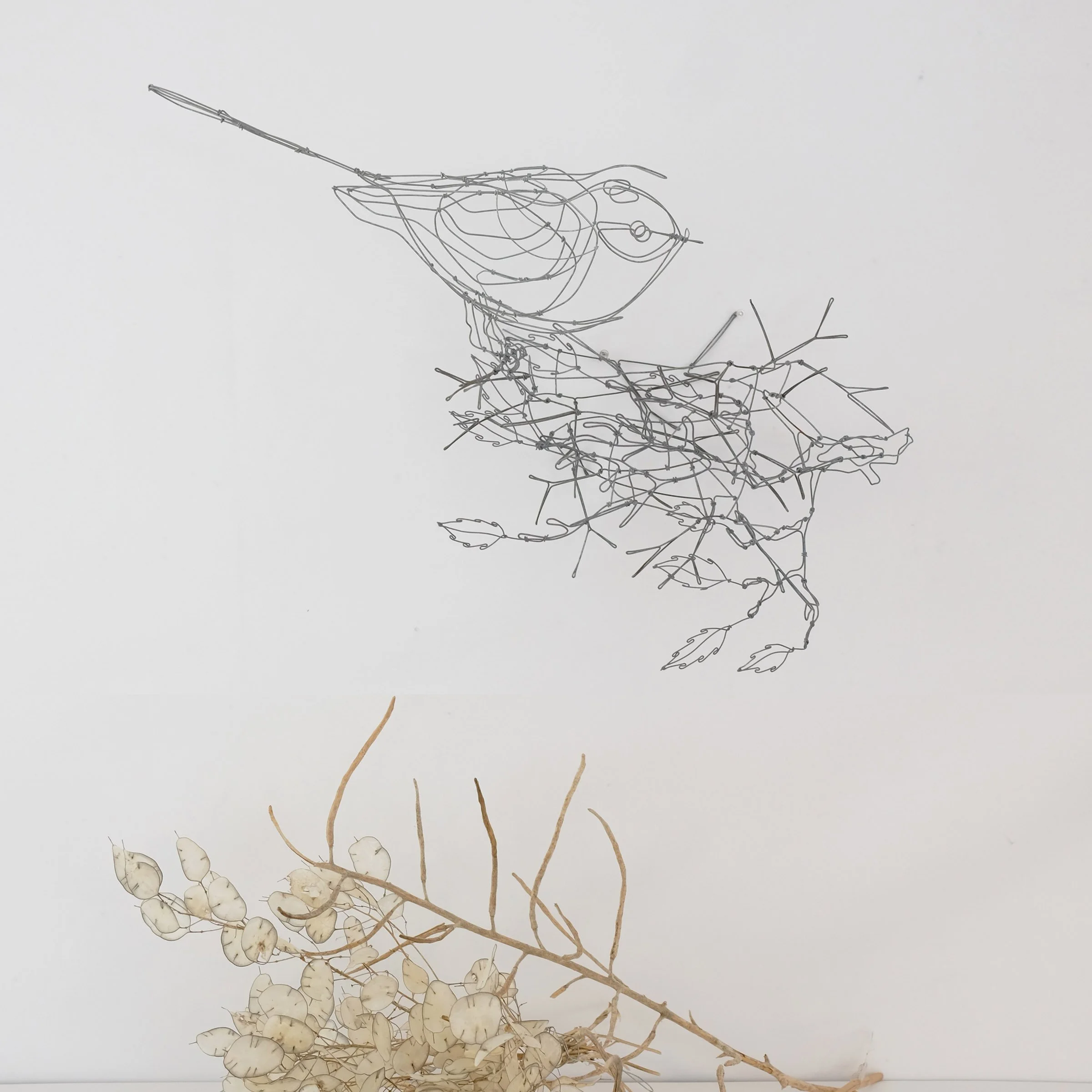oiseaubranche13bsw.jpg
