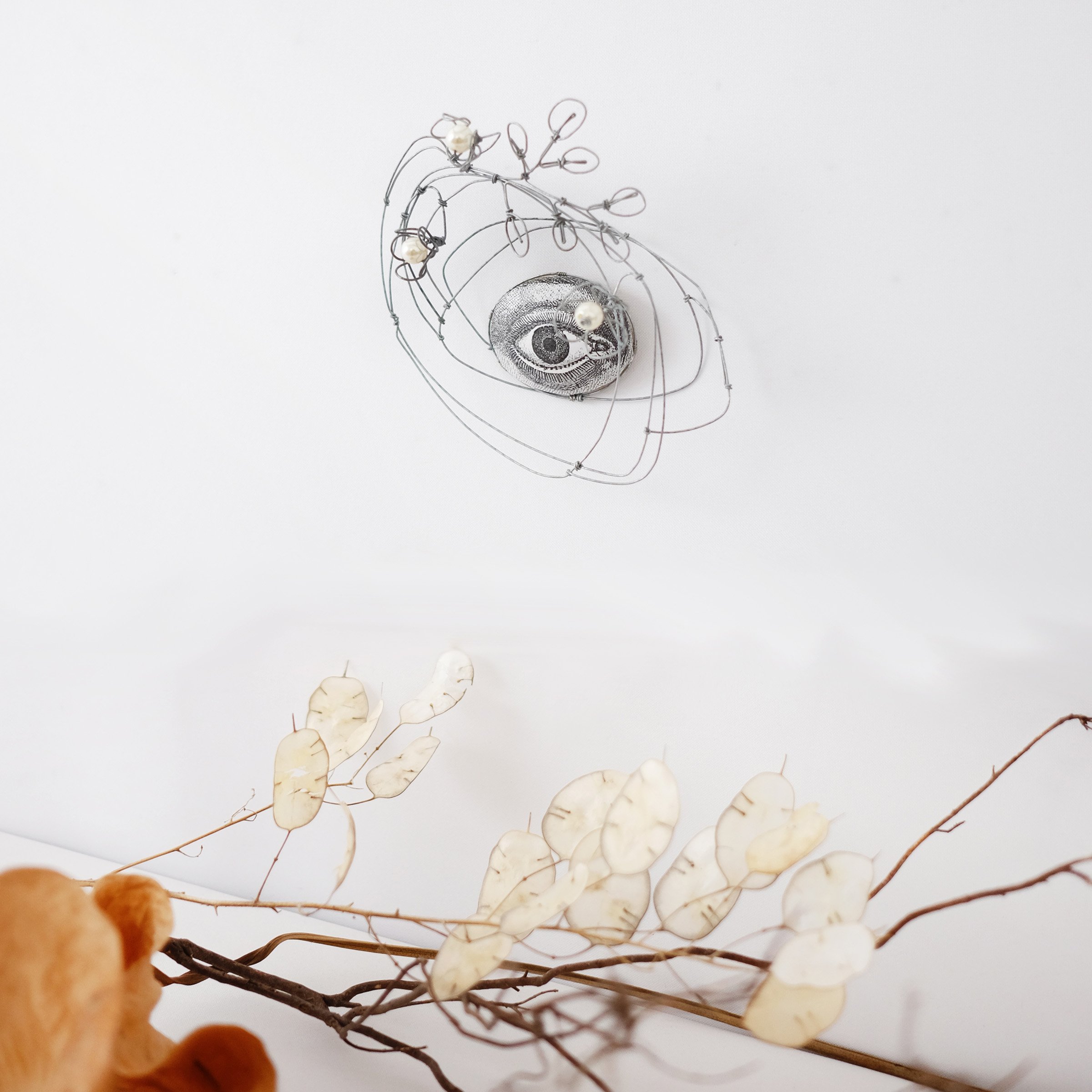 oeil72csw.jpg