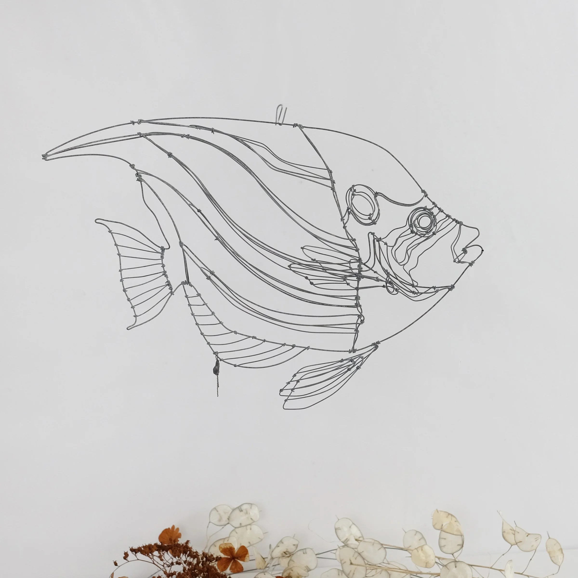 poissonexotique81esw.jpg