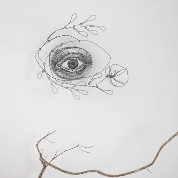 oeil68gw.jpg