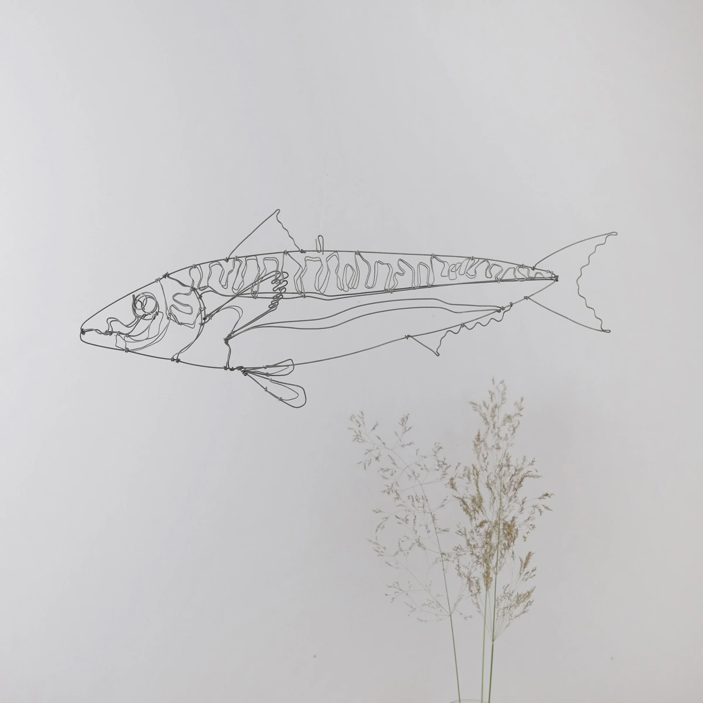 maquereau3dsw.jpg