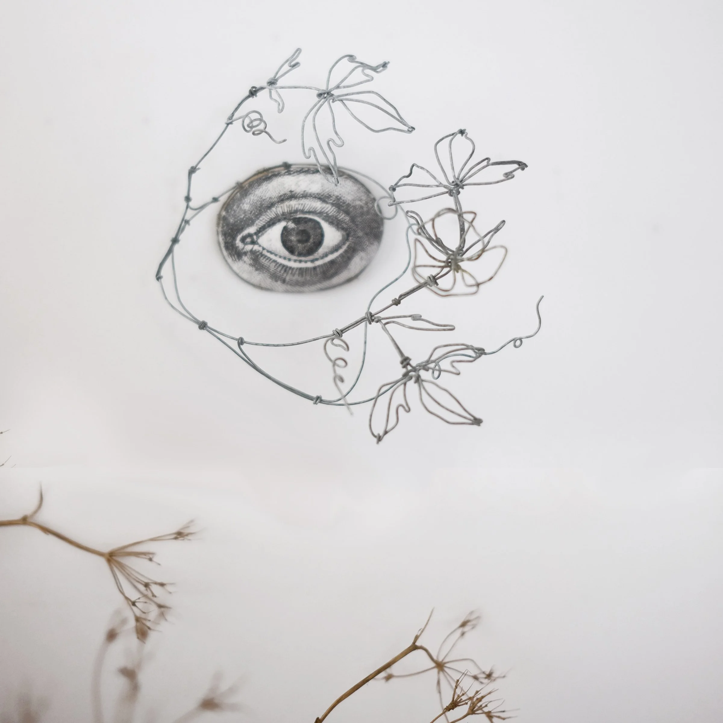 oeil71hsw.jpg