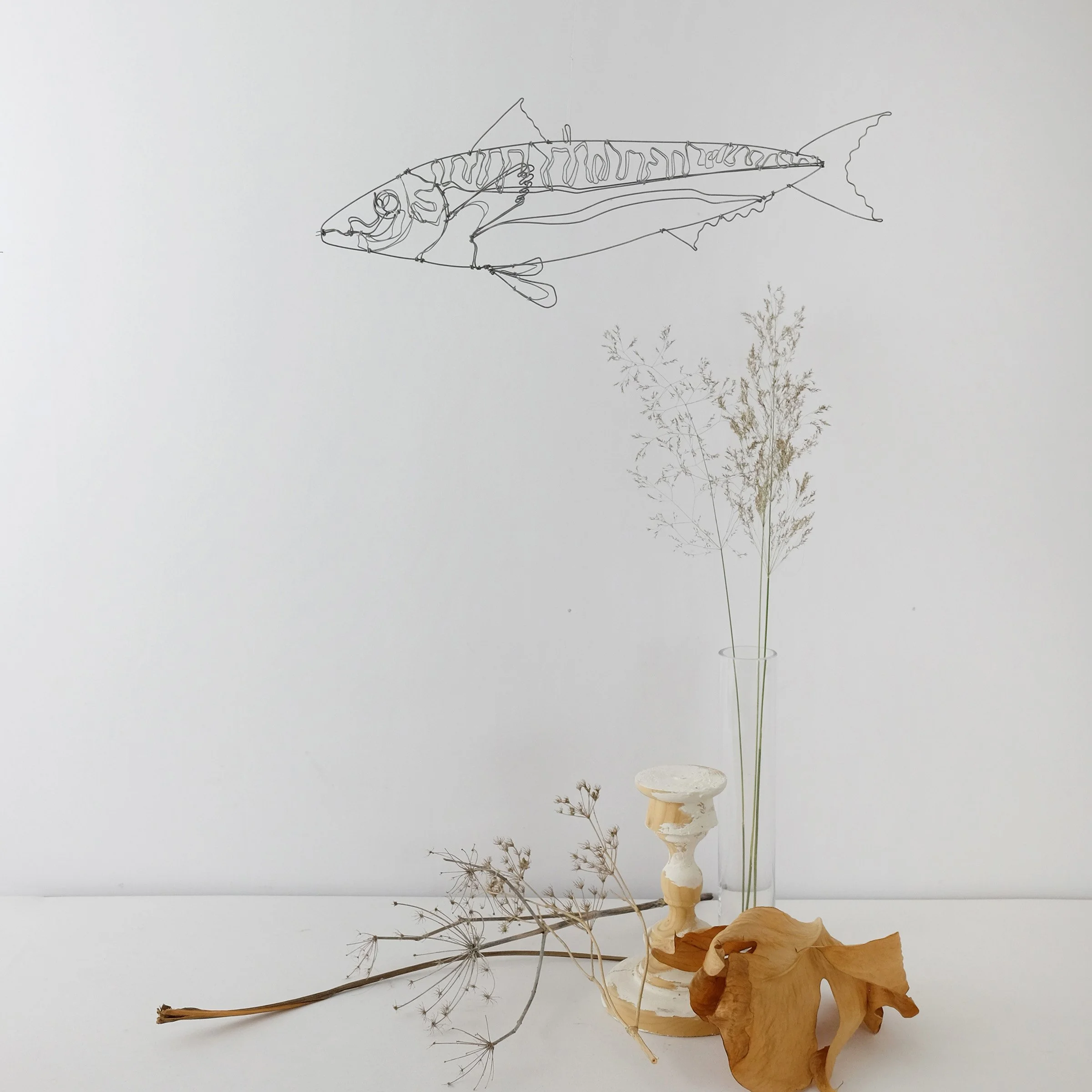 maquereau3bsw.jpg
