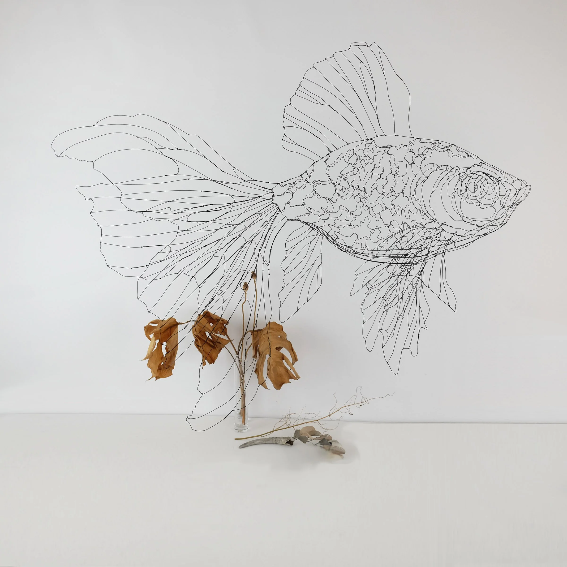 poissonjaponaisnoir2fw.jpg