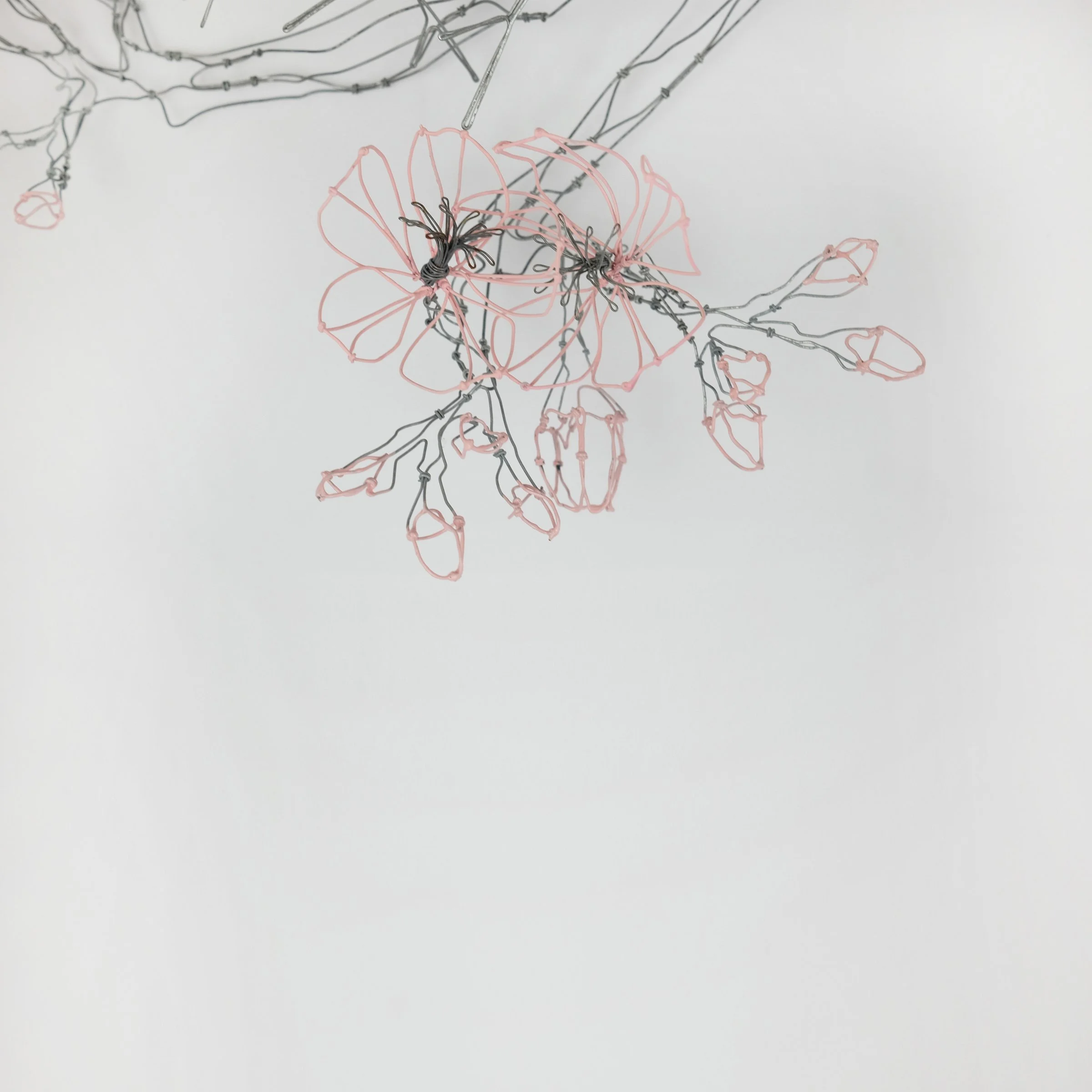 oiseaubranchedecerisier1lsw.jpg