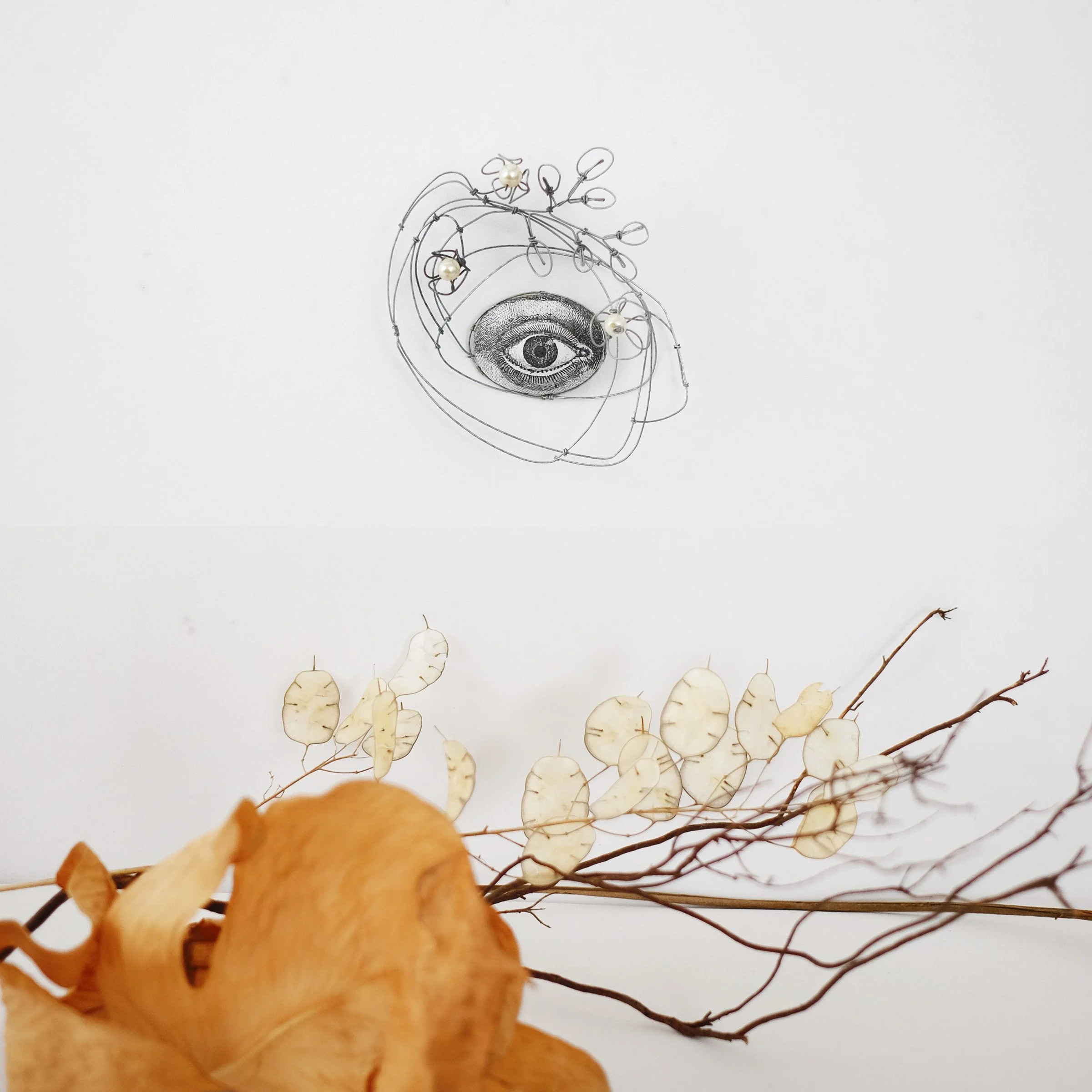 oeil72bsw.jpg