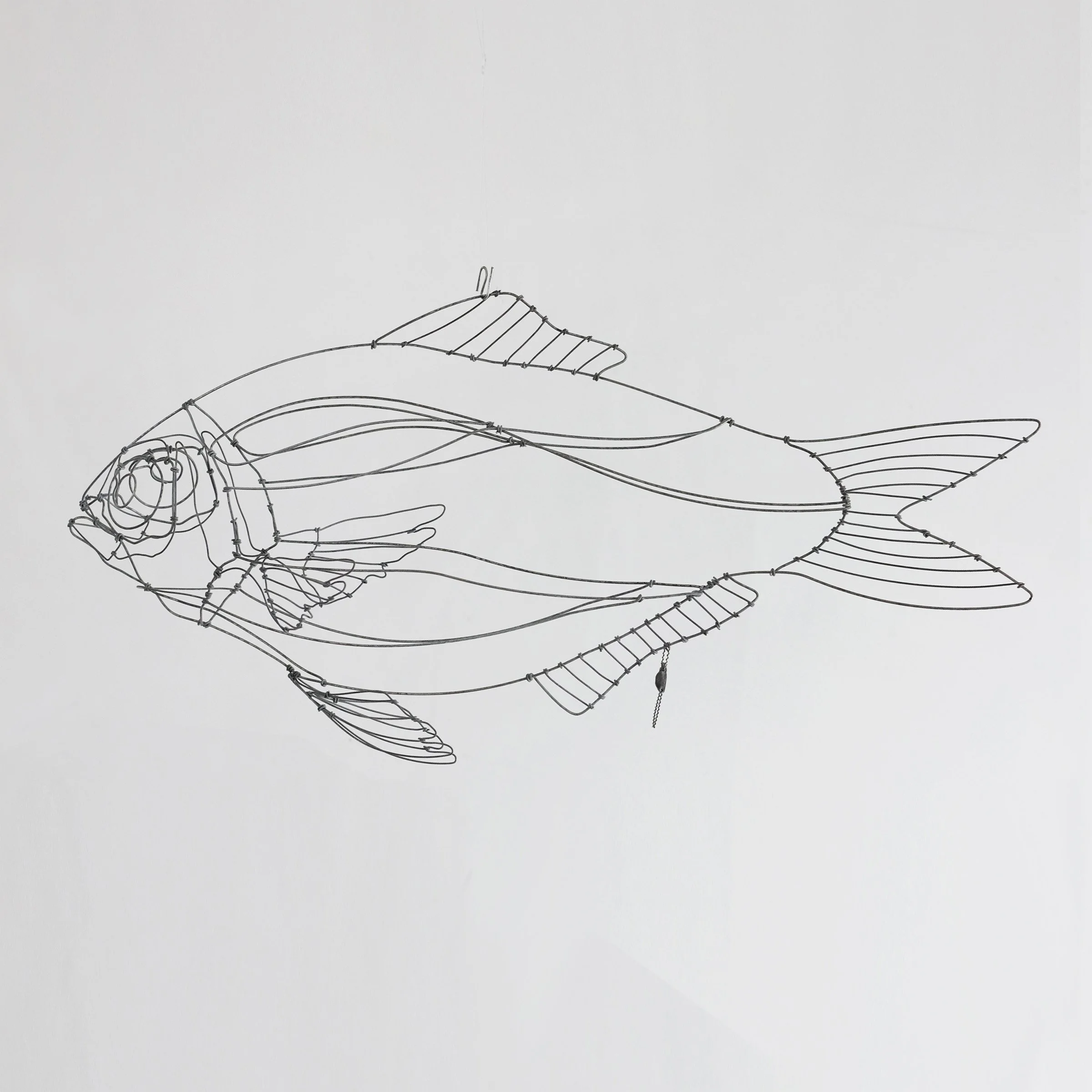dorade23gsw.jpg