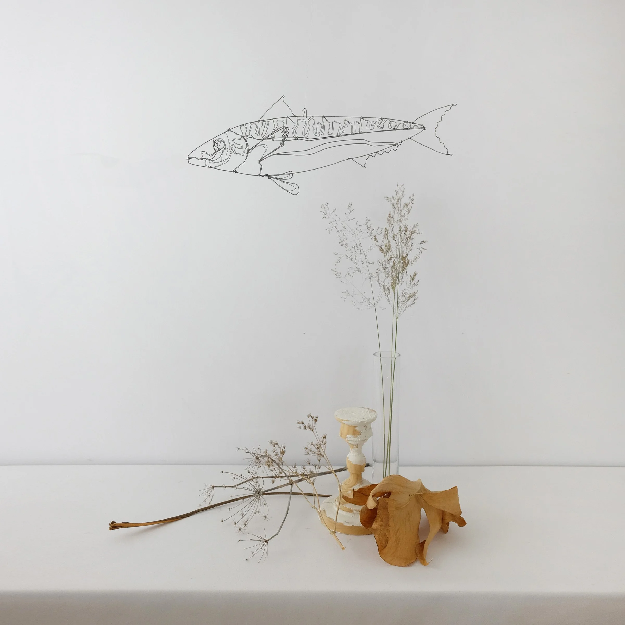 maquereau3fsw.jpg