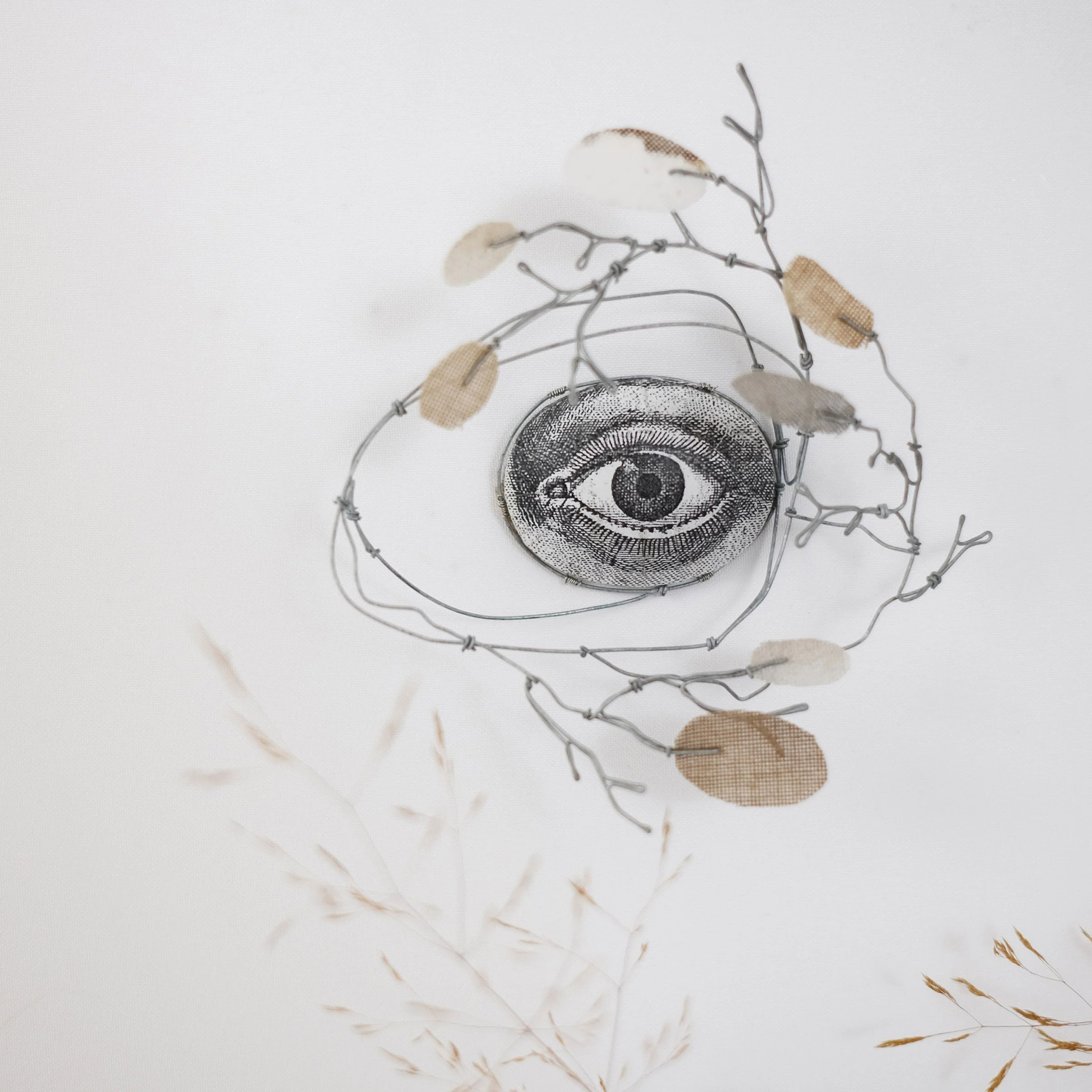 oeil69isw.jpg