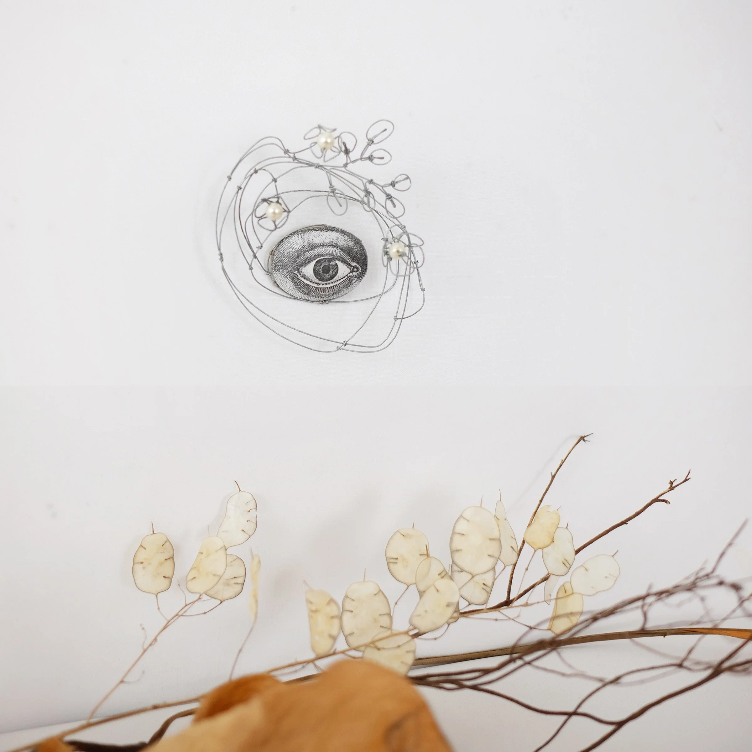 oeil72fsw.jpg