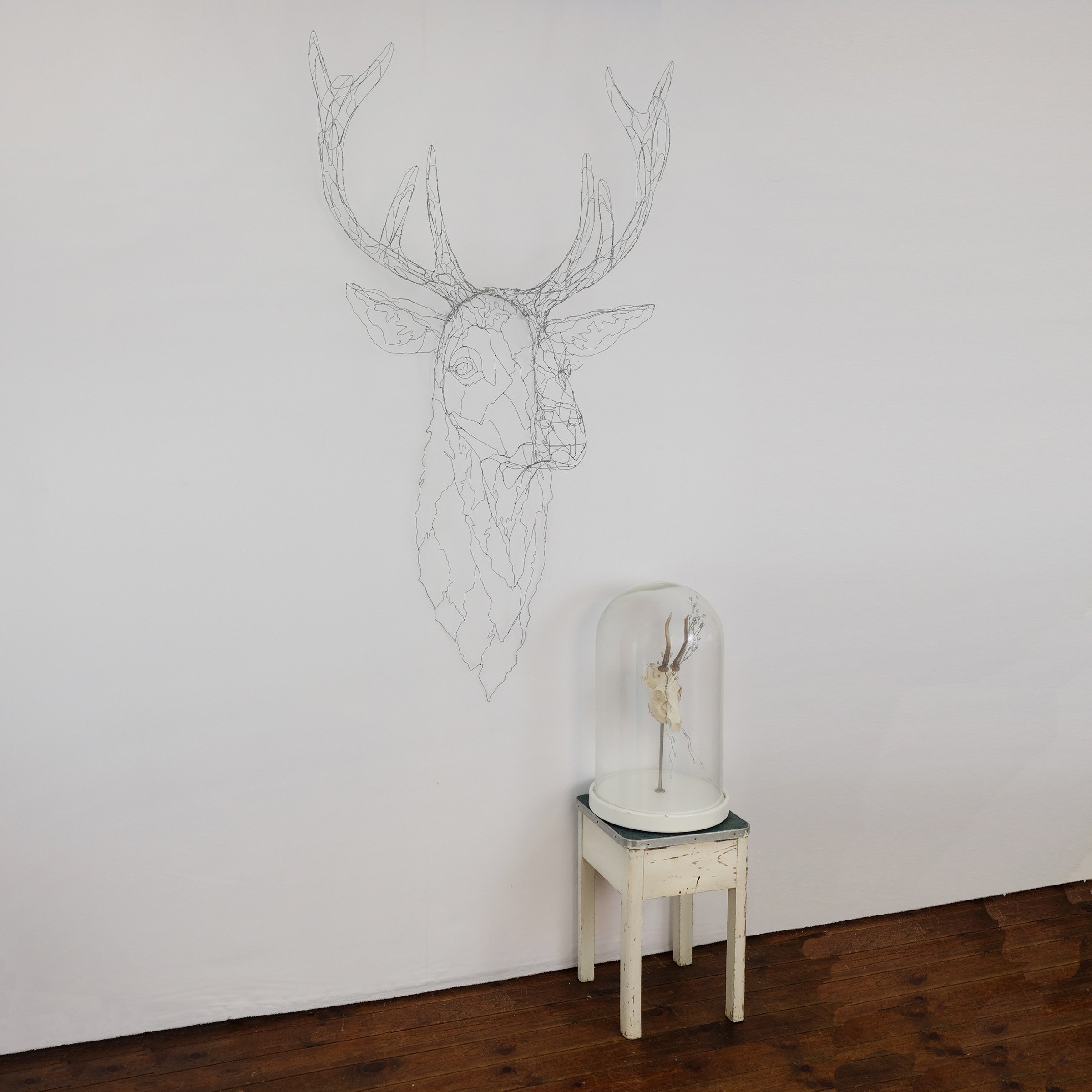 cerf17psw.jpg