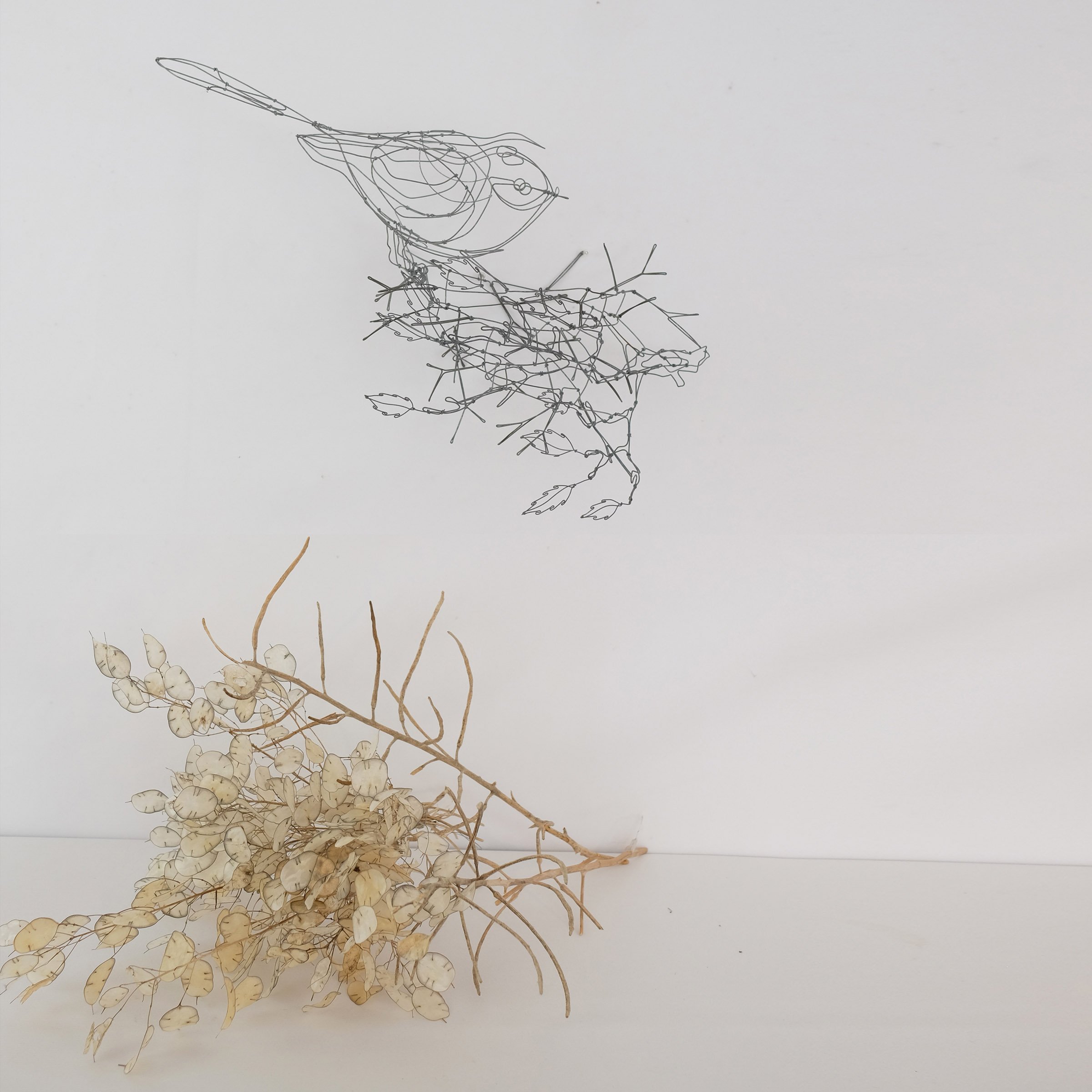 oiseaubranche13hsw.jpg