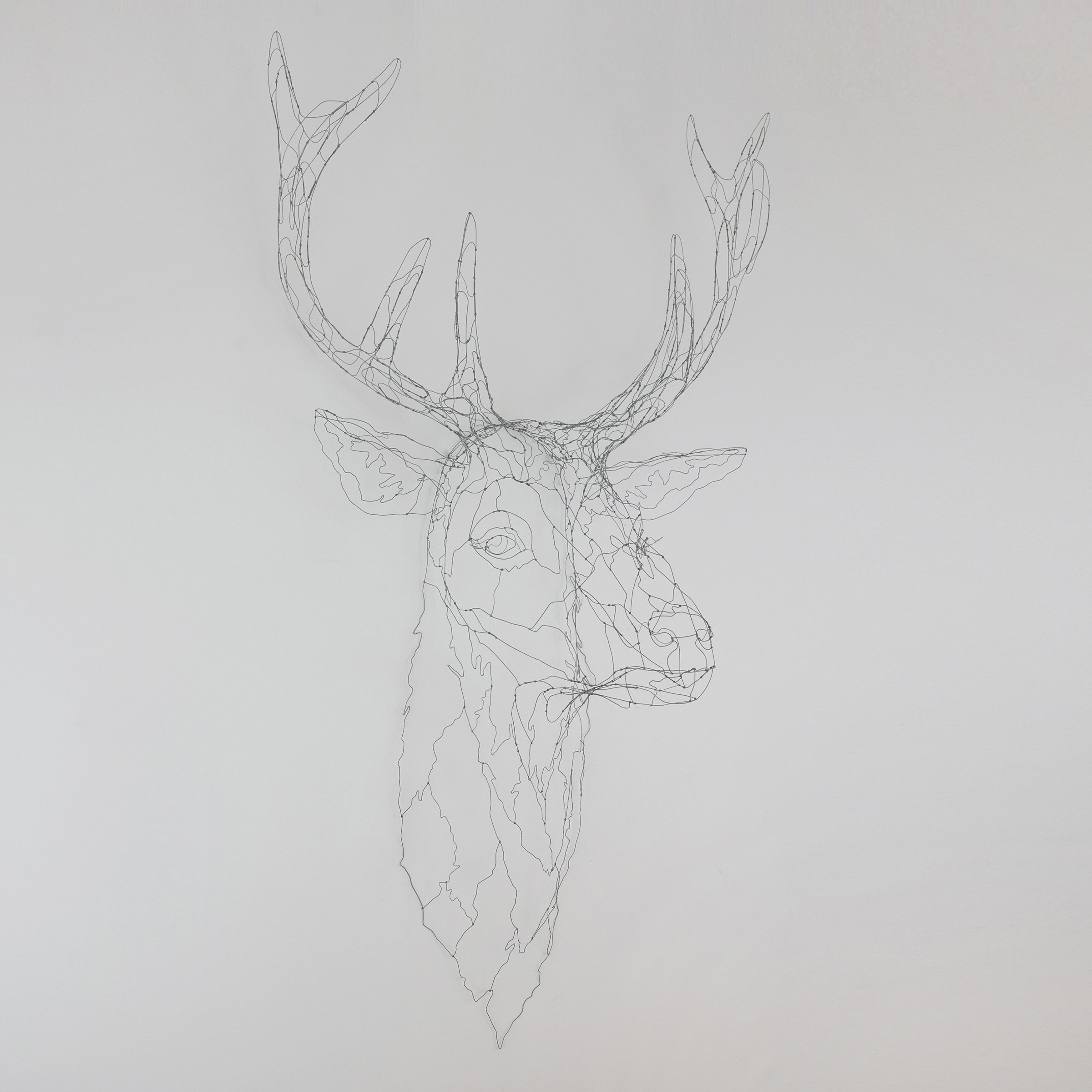 cerf17esw.jpg