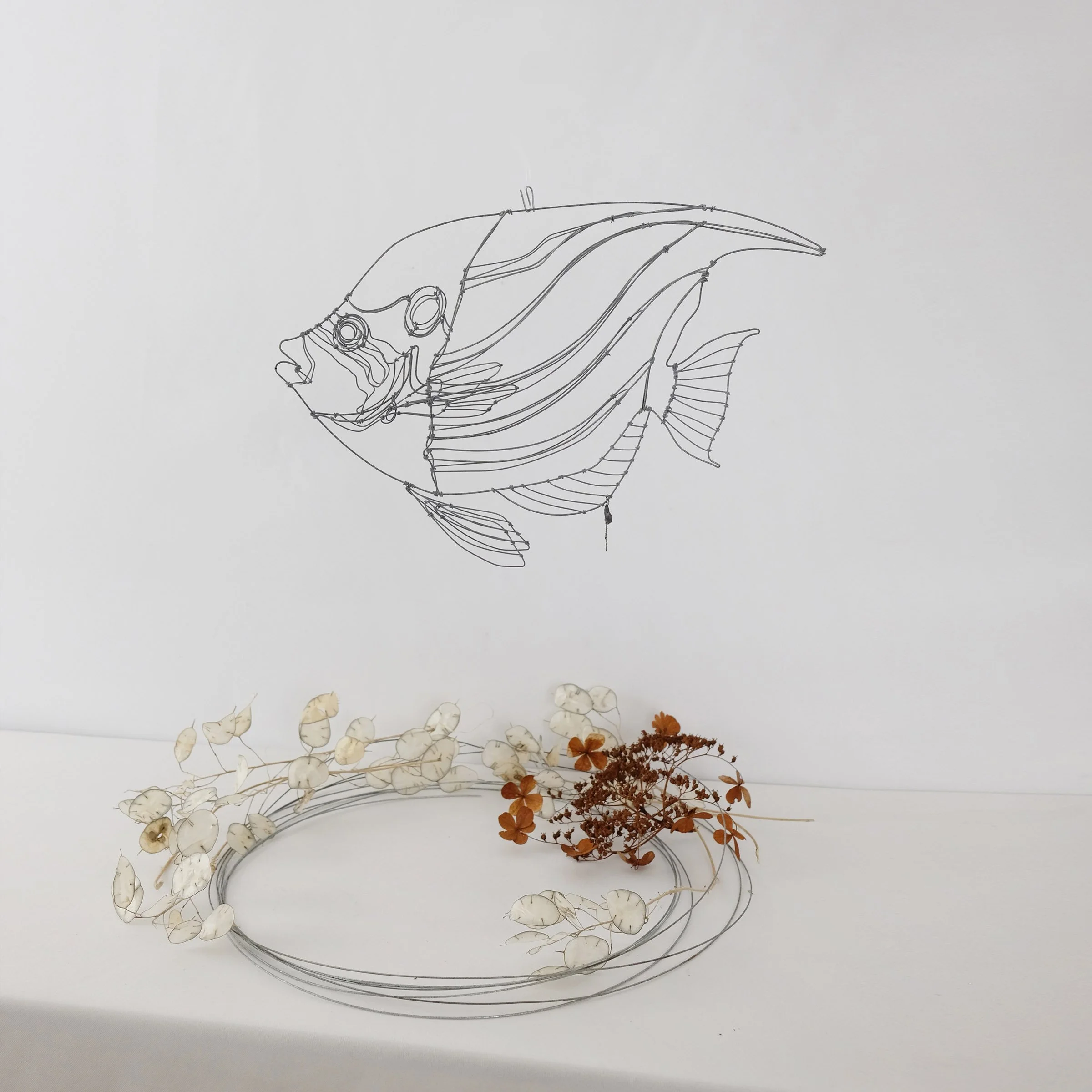 poissonexotique81csw.jpg