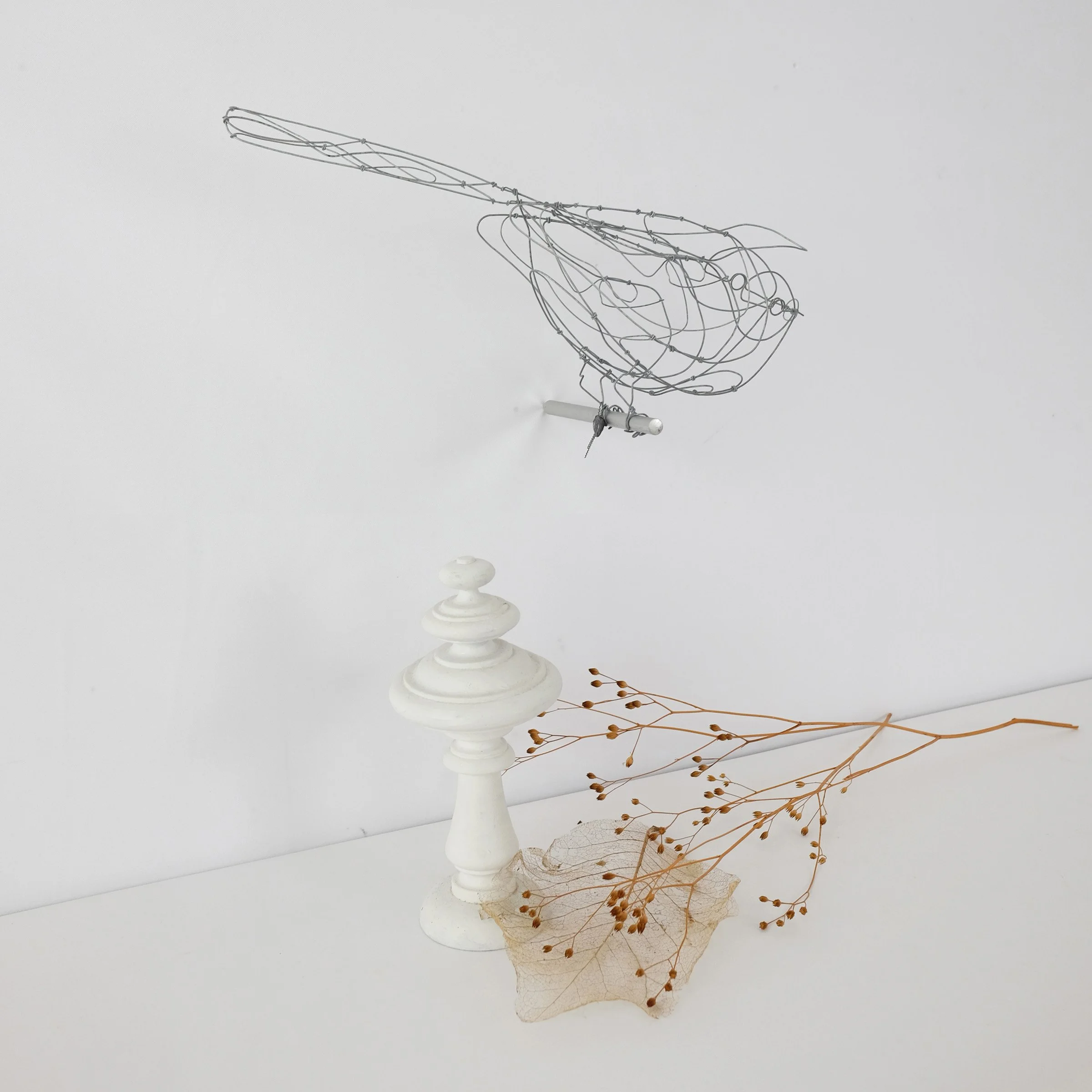 oiseau U3fsw.jpg