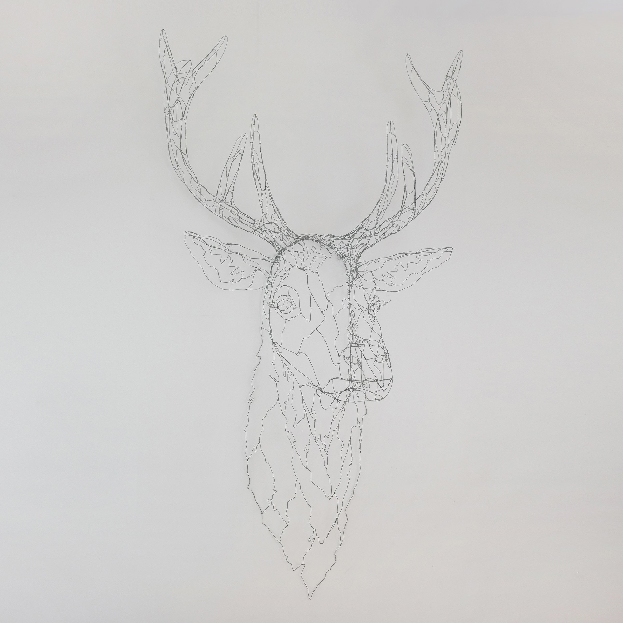 cerf17bsw.jpg