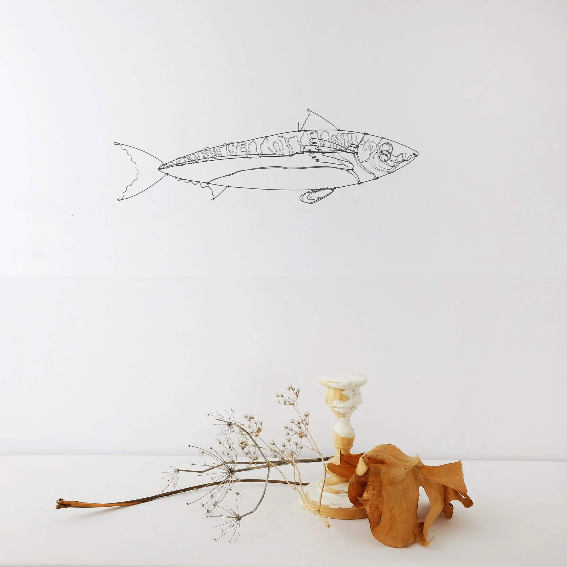 maquereau2asw.jpg