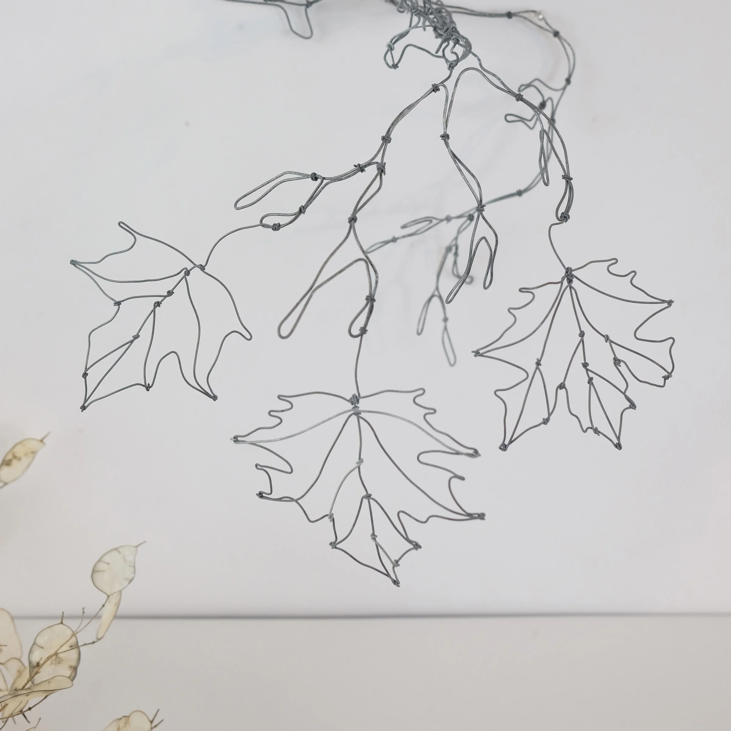 oiseaubranche13fsw.jpg
