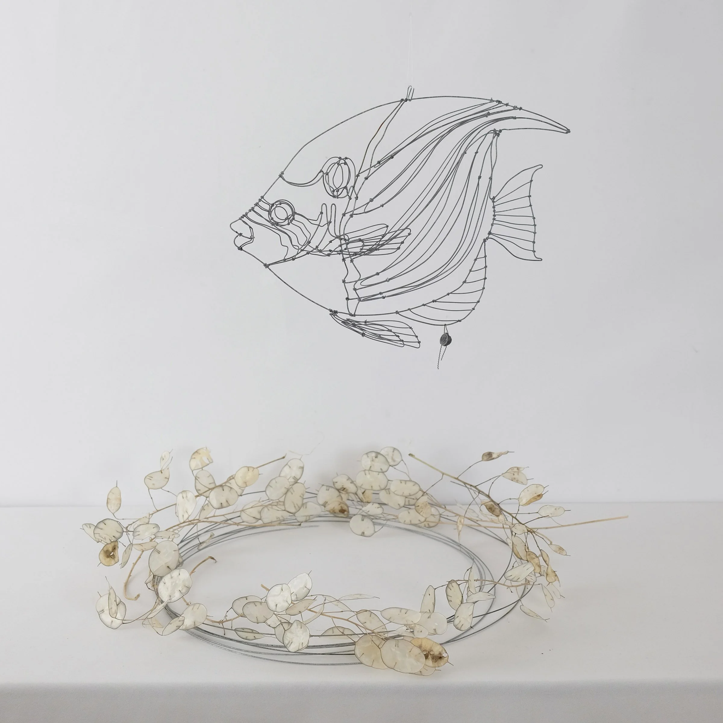 poissonexotique79asw.jpg