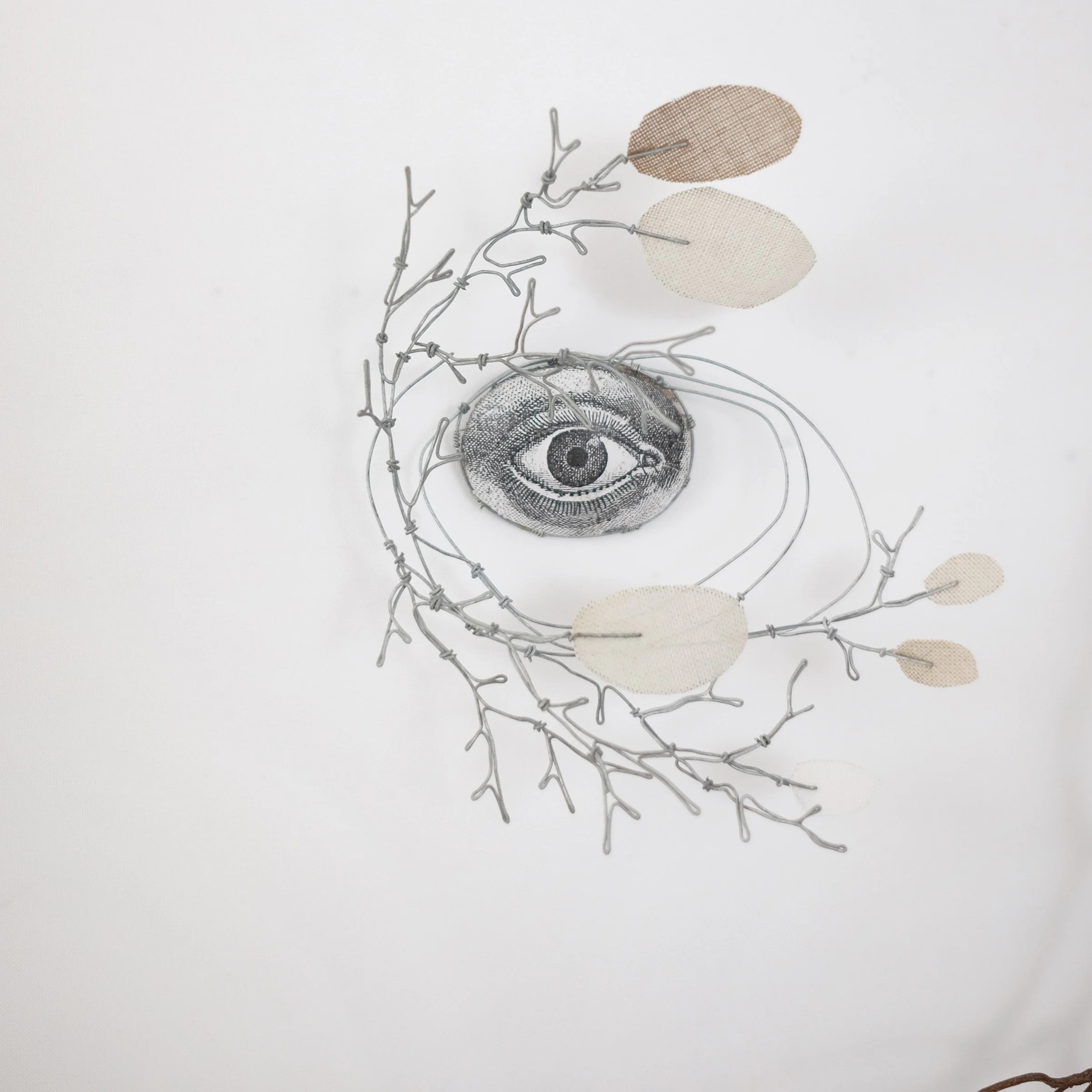oeil70fsw.jpg