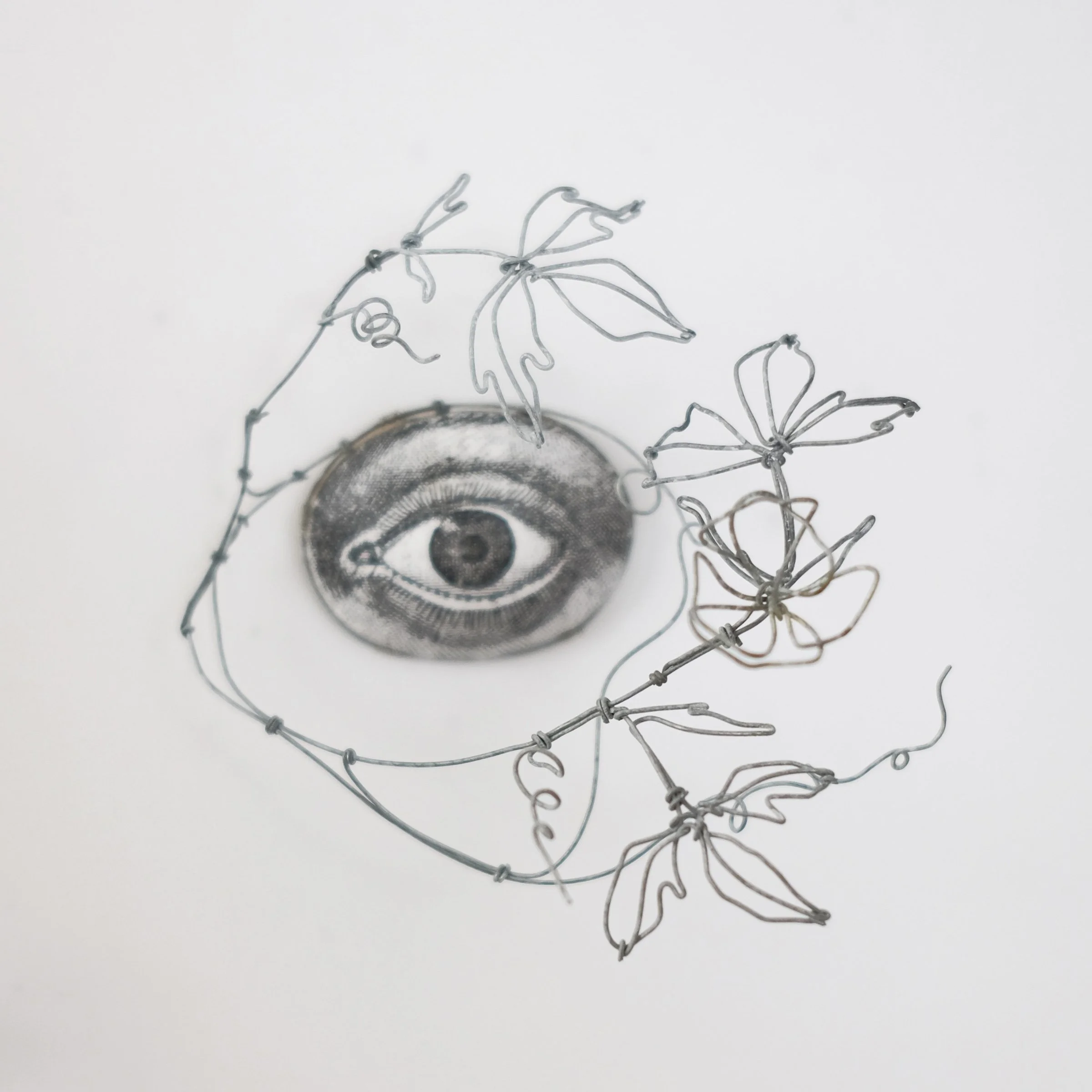 oeil71isw.jpg