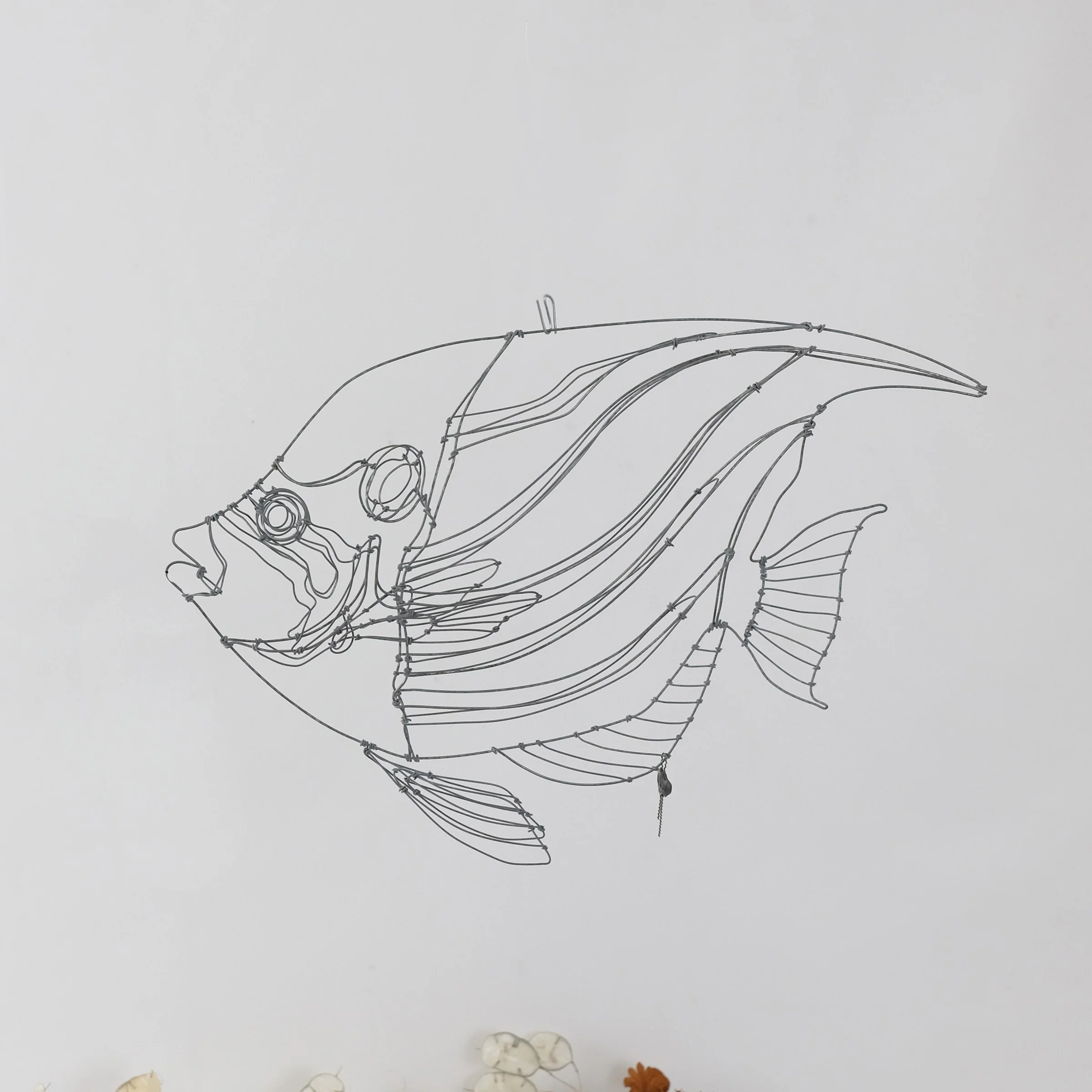 poissonexotique81dsw.jpg