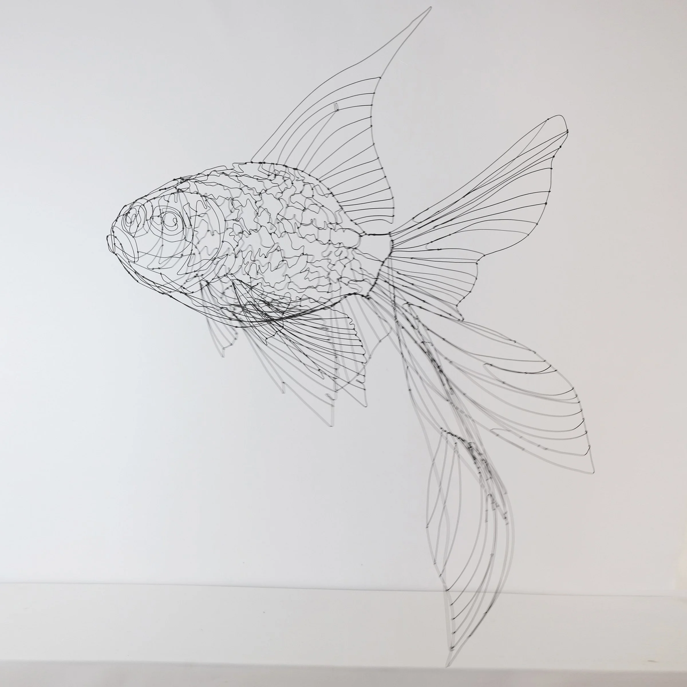 poissonjaponaisnoir3gsw.jpg